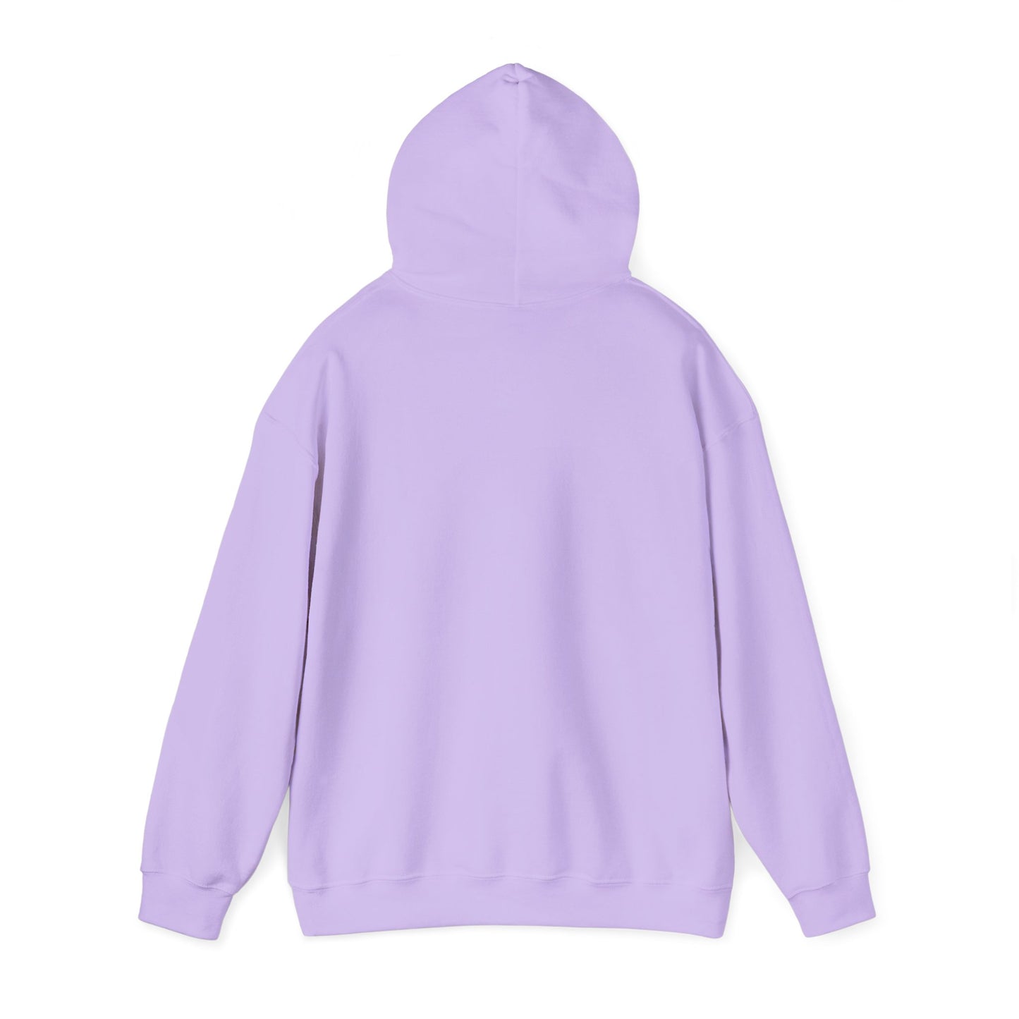 Let's Get Lost Unisex Hoodie Adventure Sweatshirt for Nature Lovers Rockhounds