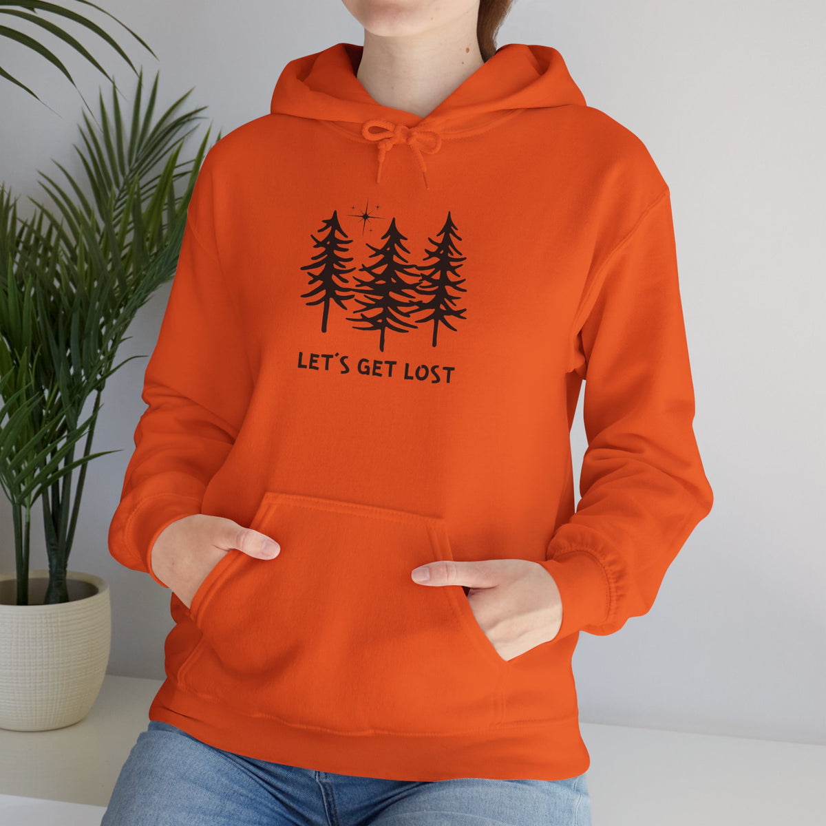 Let's Get Lost Unisex Hoodie Adventure Sweatshirt for Nature Lovers Rockhounds