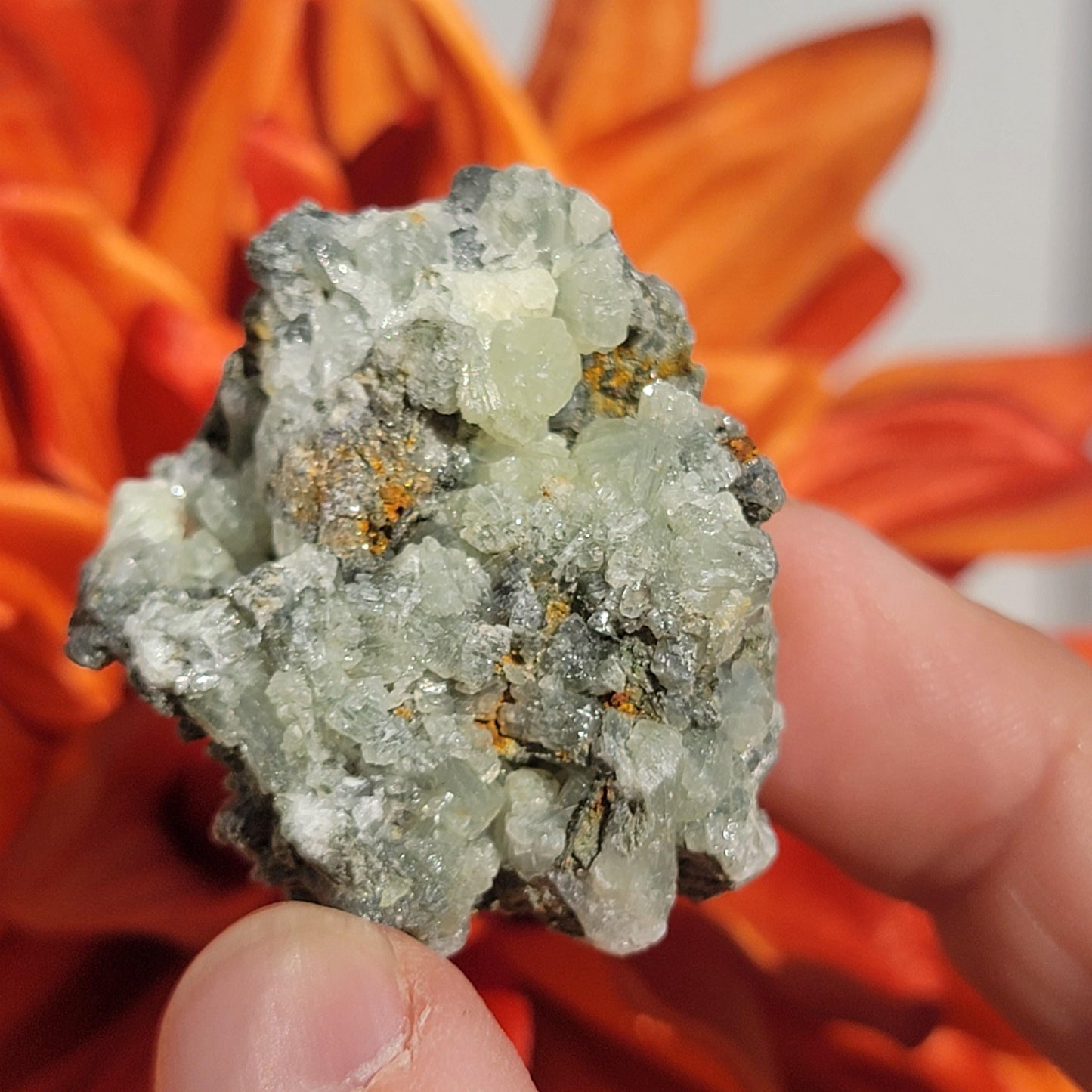 Rough Prehnite Mineral Specimens from Boulemane, Imilchil, Morocco - Wholesale Lot 9 Pieces, 439 Grams, Dark Green and Light Green Crystals