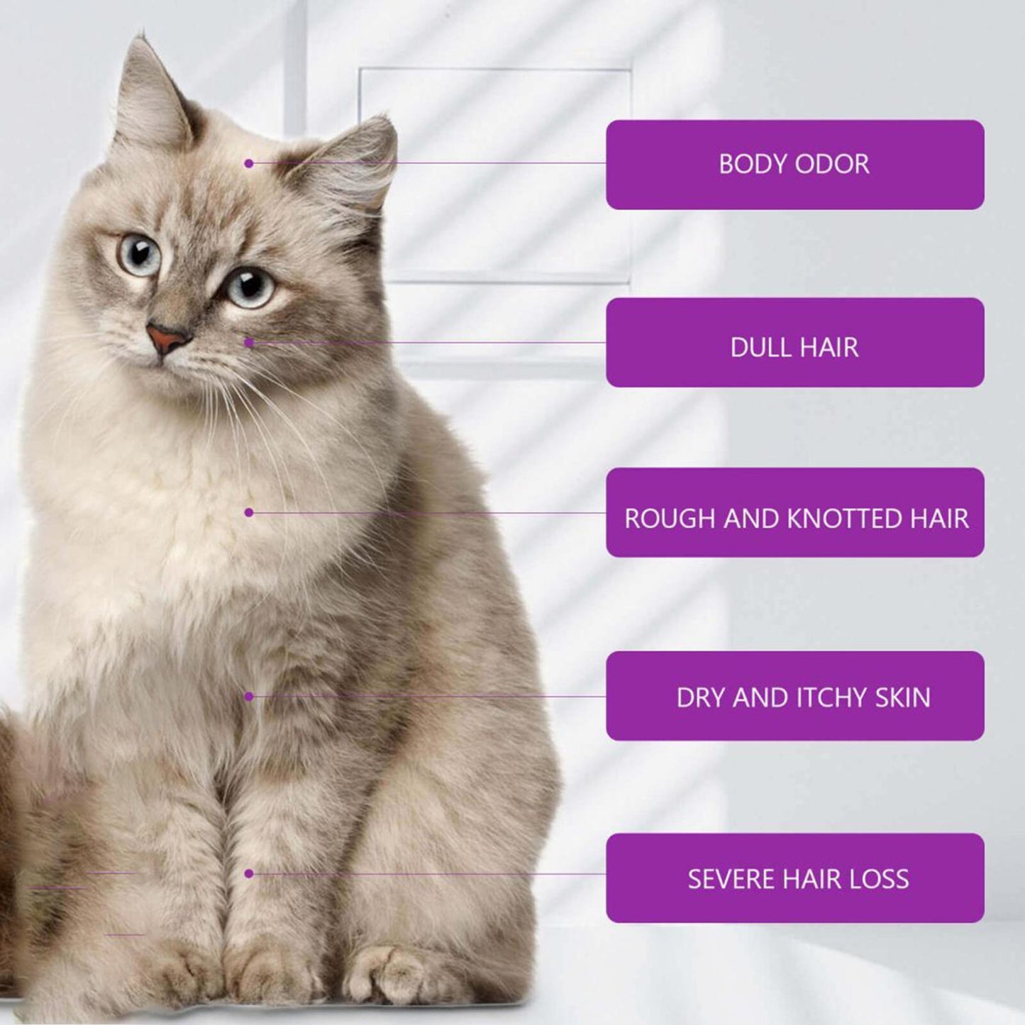 Pet Shampoo and Conditioner Lavender Oil for Dogs and Cats