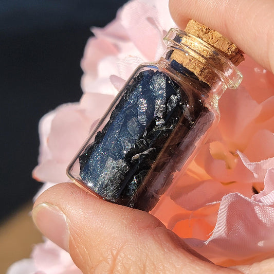 Black Tourmaline Crystals in Glass Bottle, Raw Rough Natural Schorl Rock Pieces, Small Geology Gift