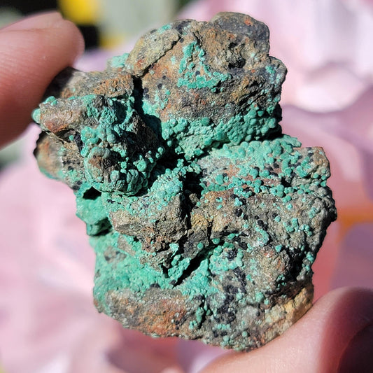 Botryoidal Malachite Rock Specimen | Light Green Copper Ore Mineral | Jerome, Arizona | Raw Stone | 31.20g