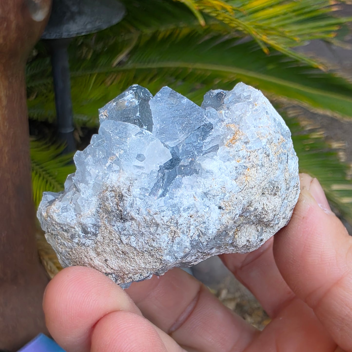 Celestite Crystal Rock Specimen |  Natural Blue Mineral | 238 g