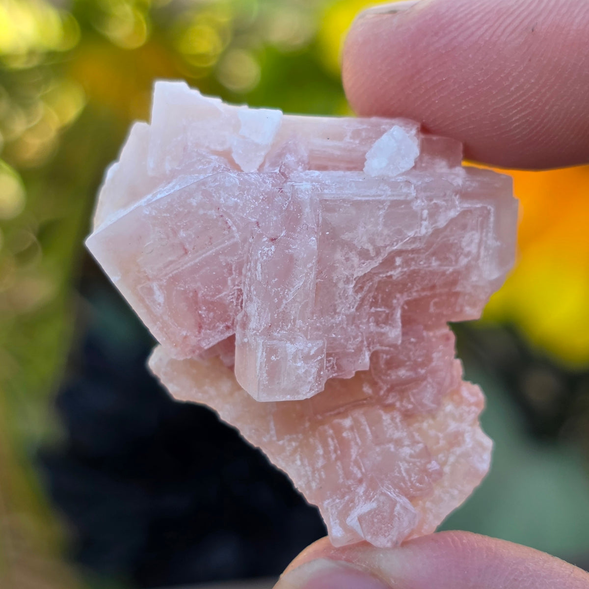 Pink Halite Rock Specimen | Natural Crystal Mineral | 12.67 g