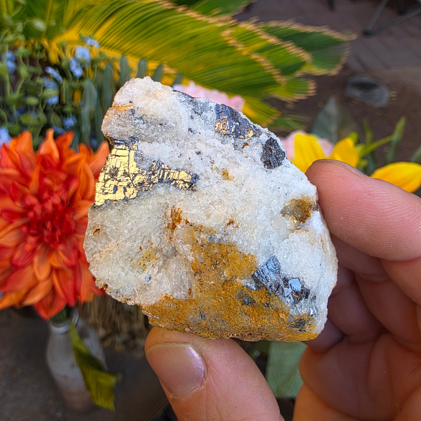 Galena on Quartz Matrix Rock Mineral Specimen from Morocco Raw Shiny Stone