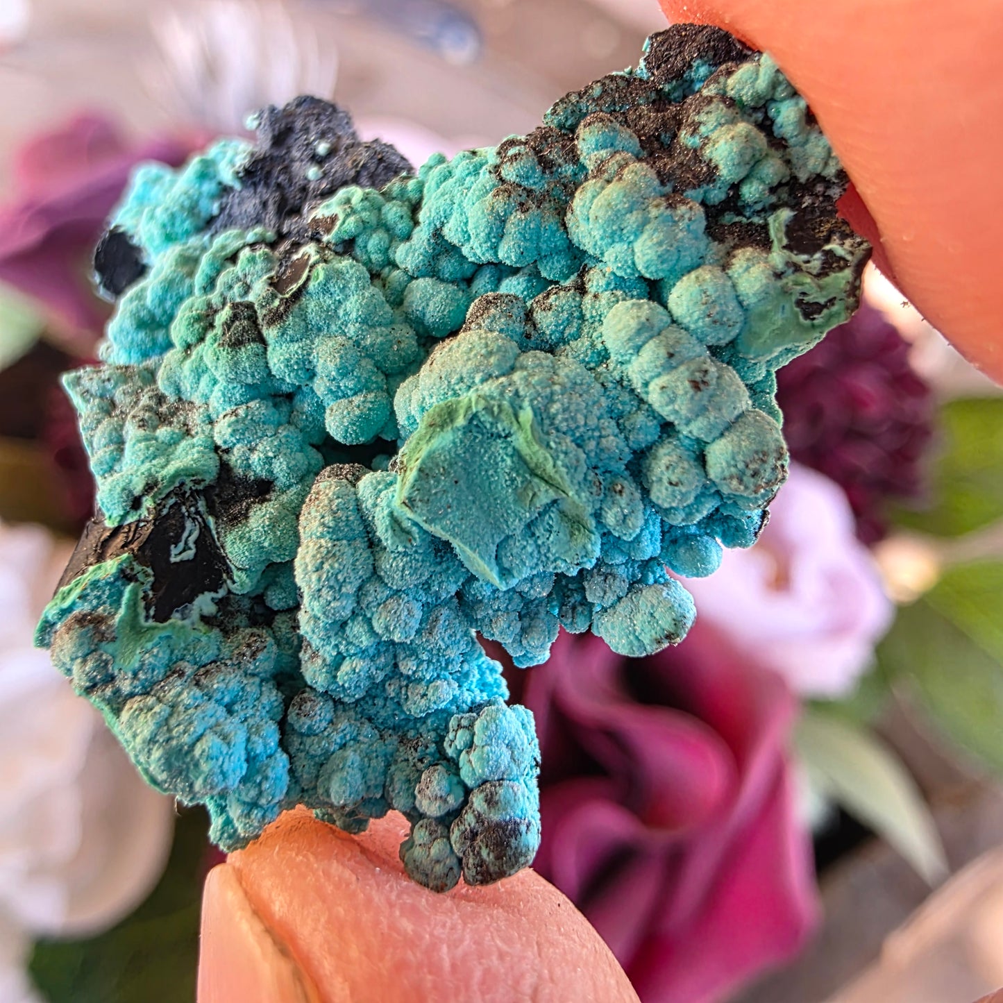 Chrysocolla Rock Specimen | Planet Mine, Arizona | Natural Raw Blue Color Stone | 5.12 g