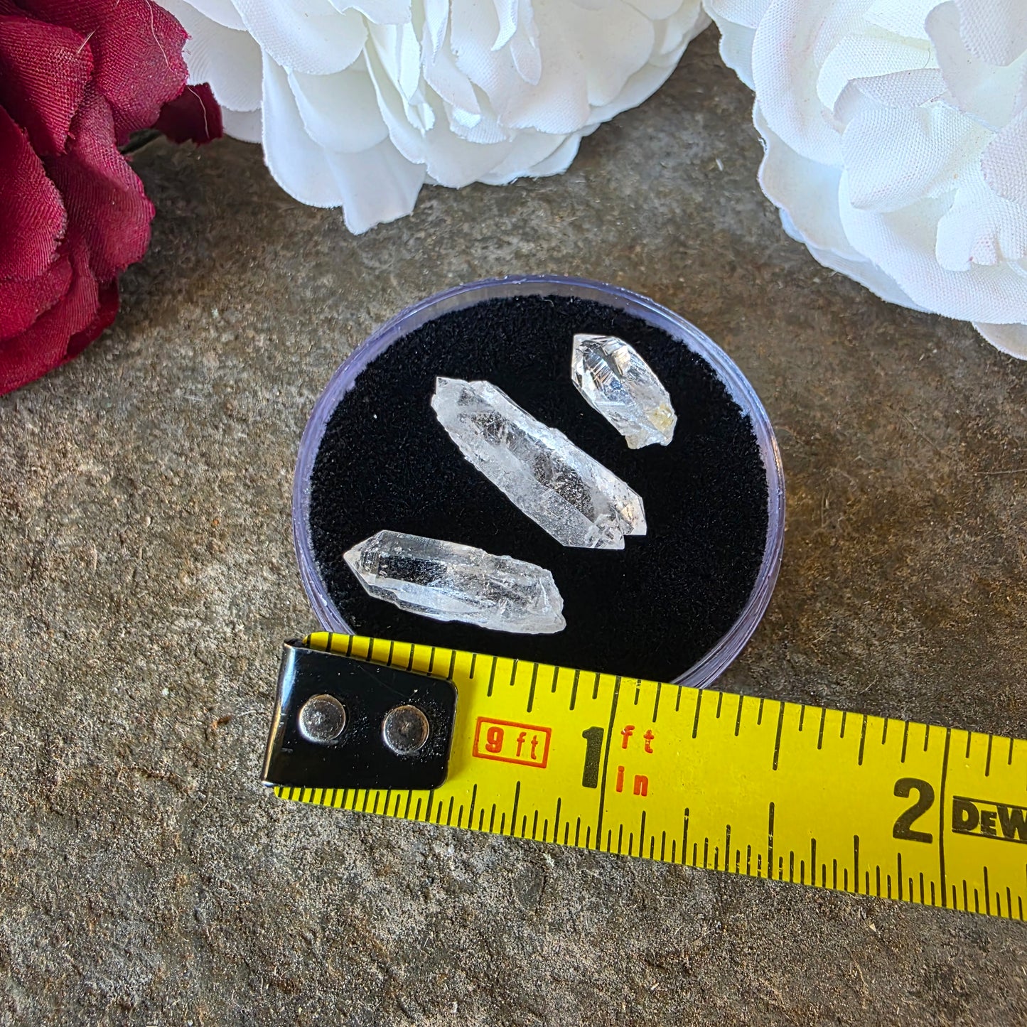 Arkansas Quartz Crystals | Three Small Pieces in a Gem Jar, from Mt. Ida