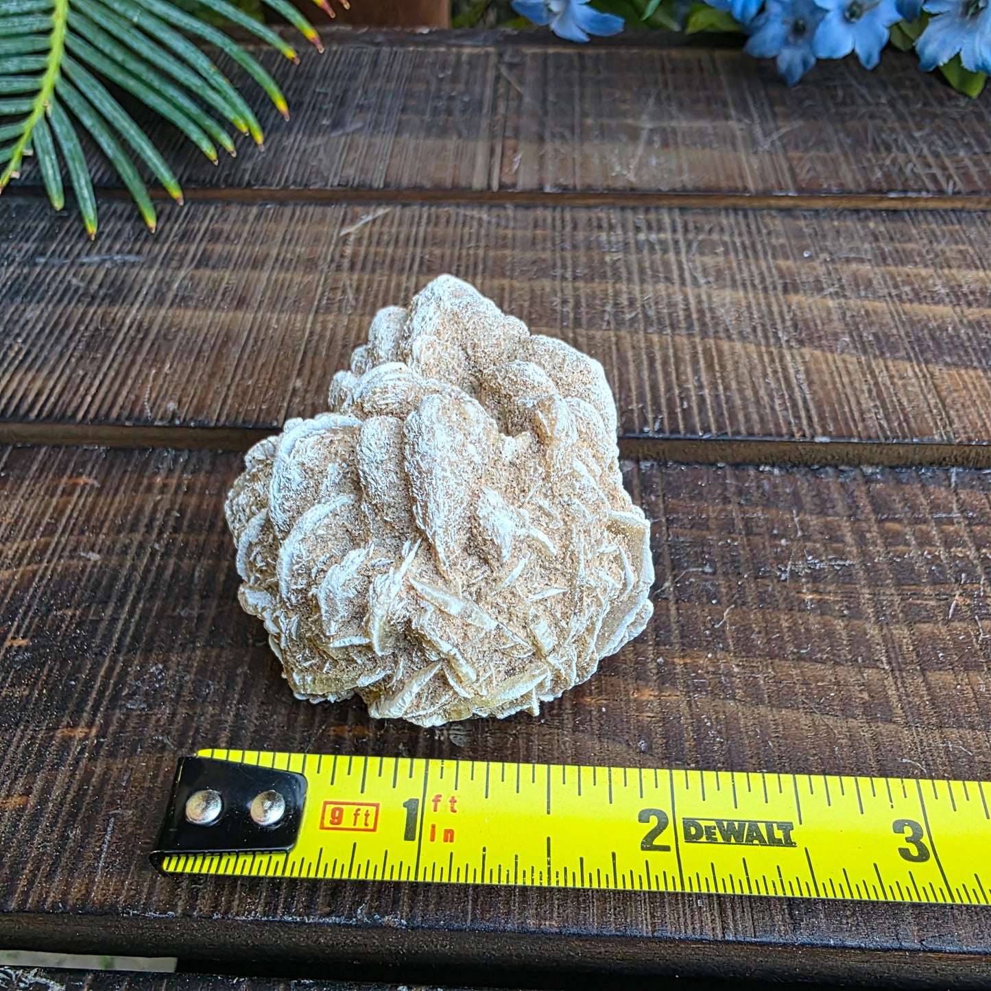 Desert Rose Gypsum Cluster Rock Specimen | Raw Natural Crystal Mineral