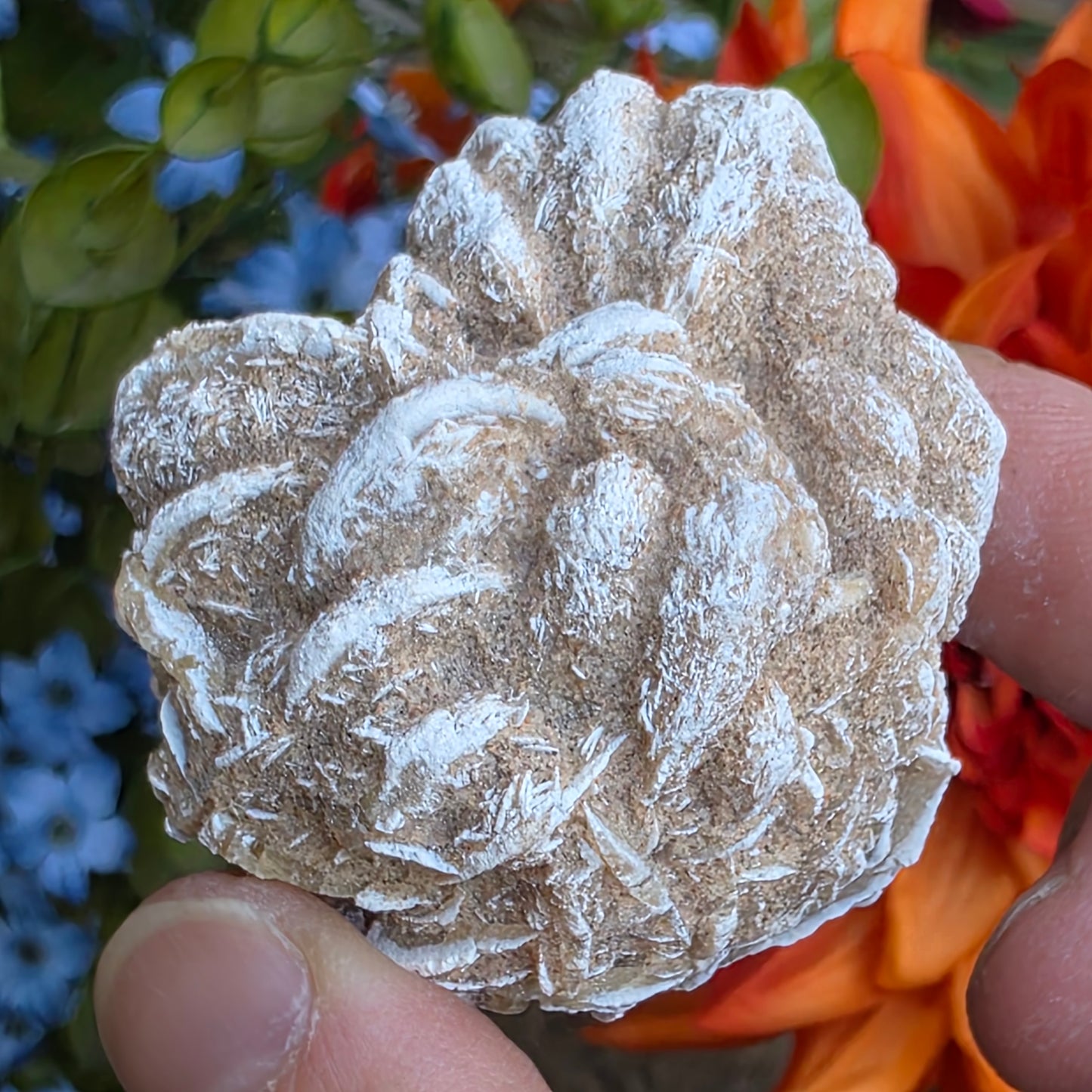 Desert Rose Gypsum Cluster Rock Specimen | Raw Natural Crystal Mineral