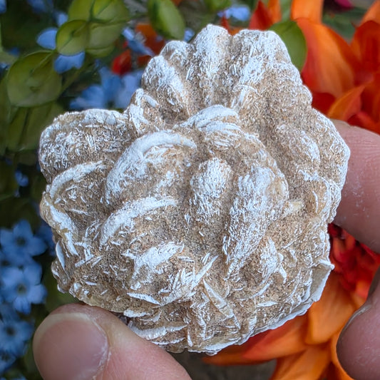 Desert Rose Gypsum Cluster Rock Specimen | Raw Natural Crystal Mineral