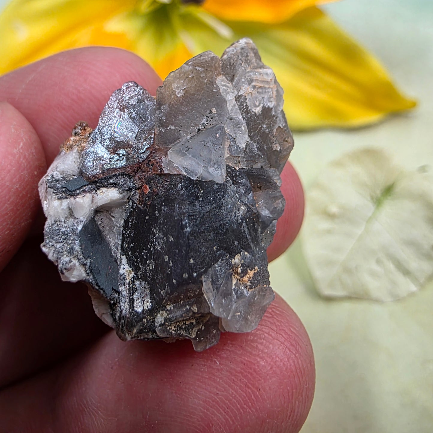 Arizona Fluorite Rock | La Paz County | AZ | Raw Stone | Fluorescent Mineral
