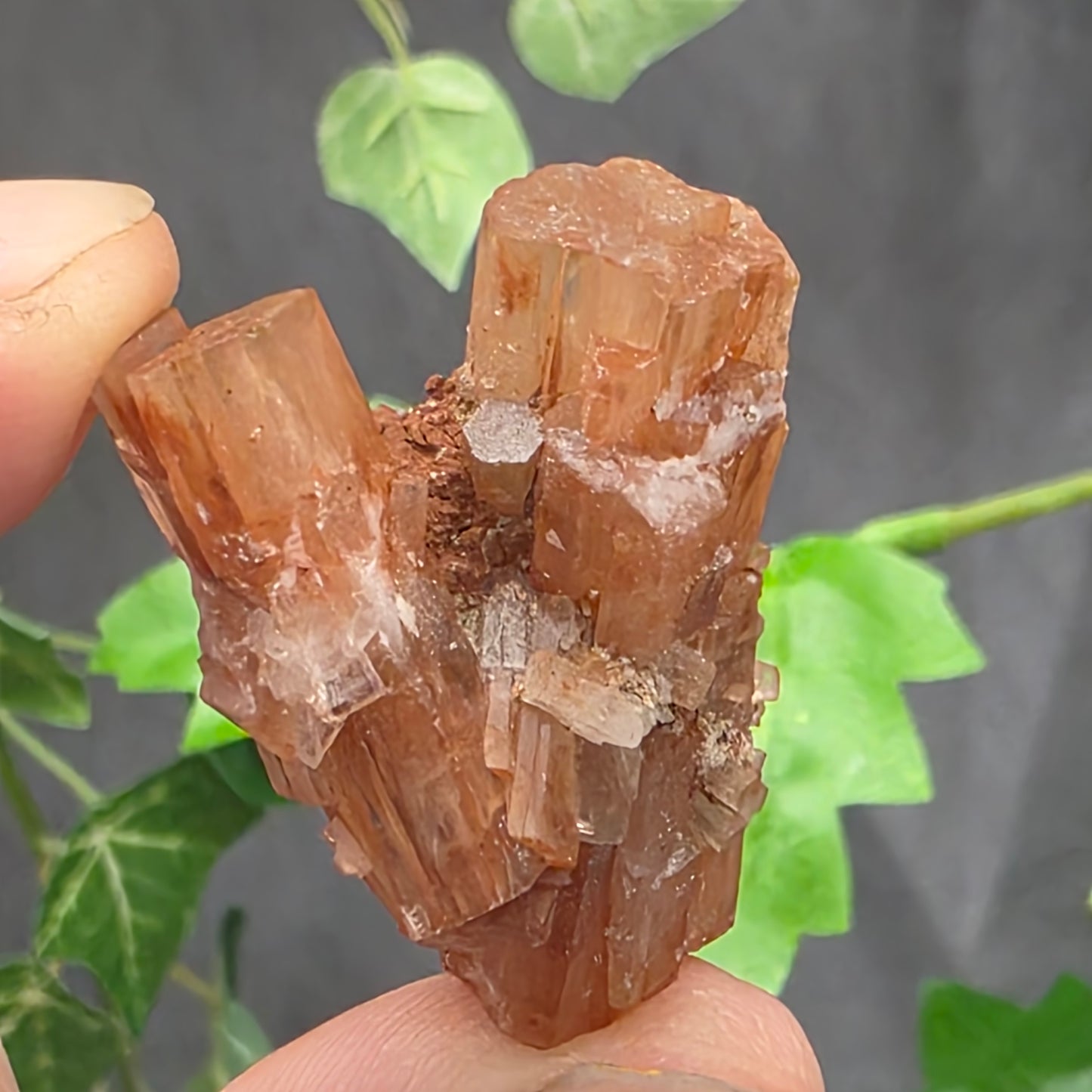 Aragonite Cluster Rock Specimen | Raw Natural Crystal Mineral | 15.83 g