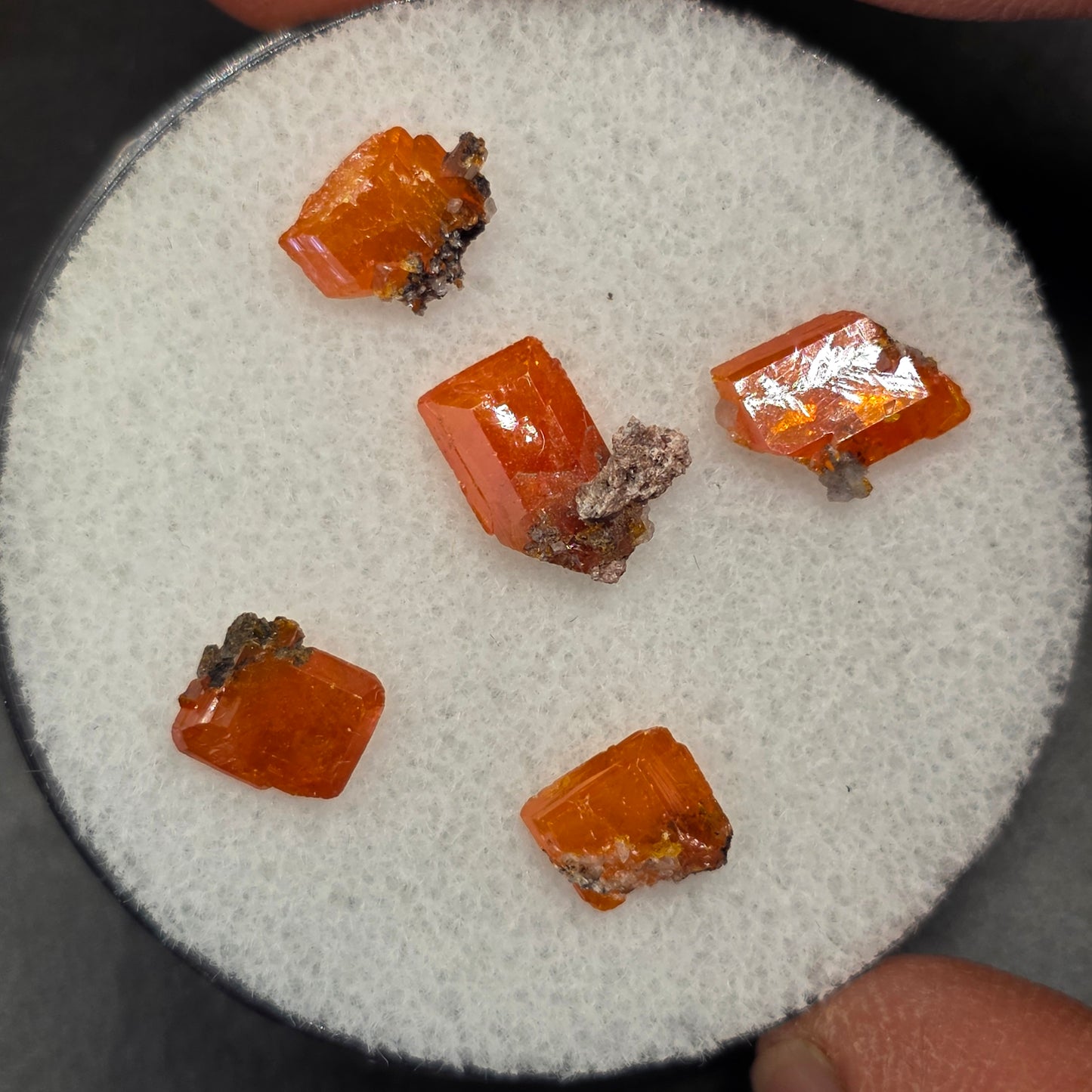 Arizona Wulfenite Gem Jar | 5 Orange Crystals | Red Cloud Mine | La Paz County | Arizona | Raw Stones