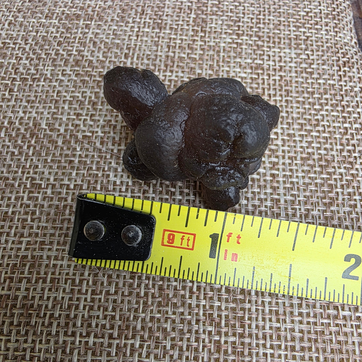 Truffle Chalcedony Rock Specimen, Raw Natural Mineral with Botryoidal Shape from Morocco