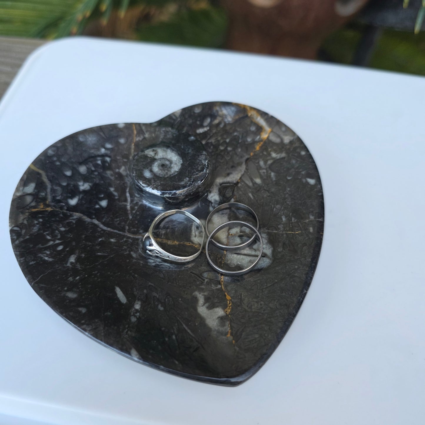 Polished Ammonite and Orthoceras Fossil Heart Shaped Dish 4 Inch Black & White Stone Bowl