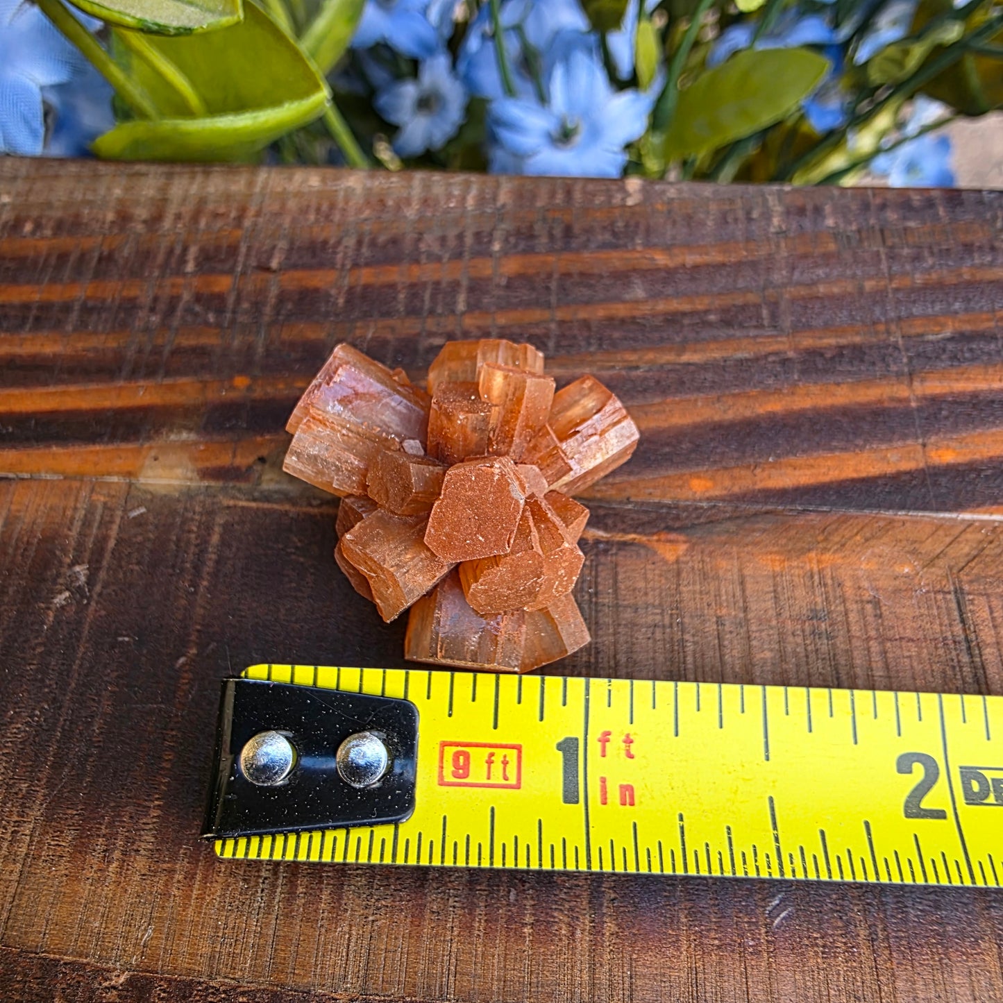Aragonite Cluster Rock Specimen | Raw Natural Crystal Mineral | 11.72 g