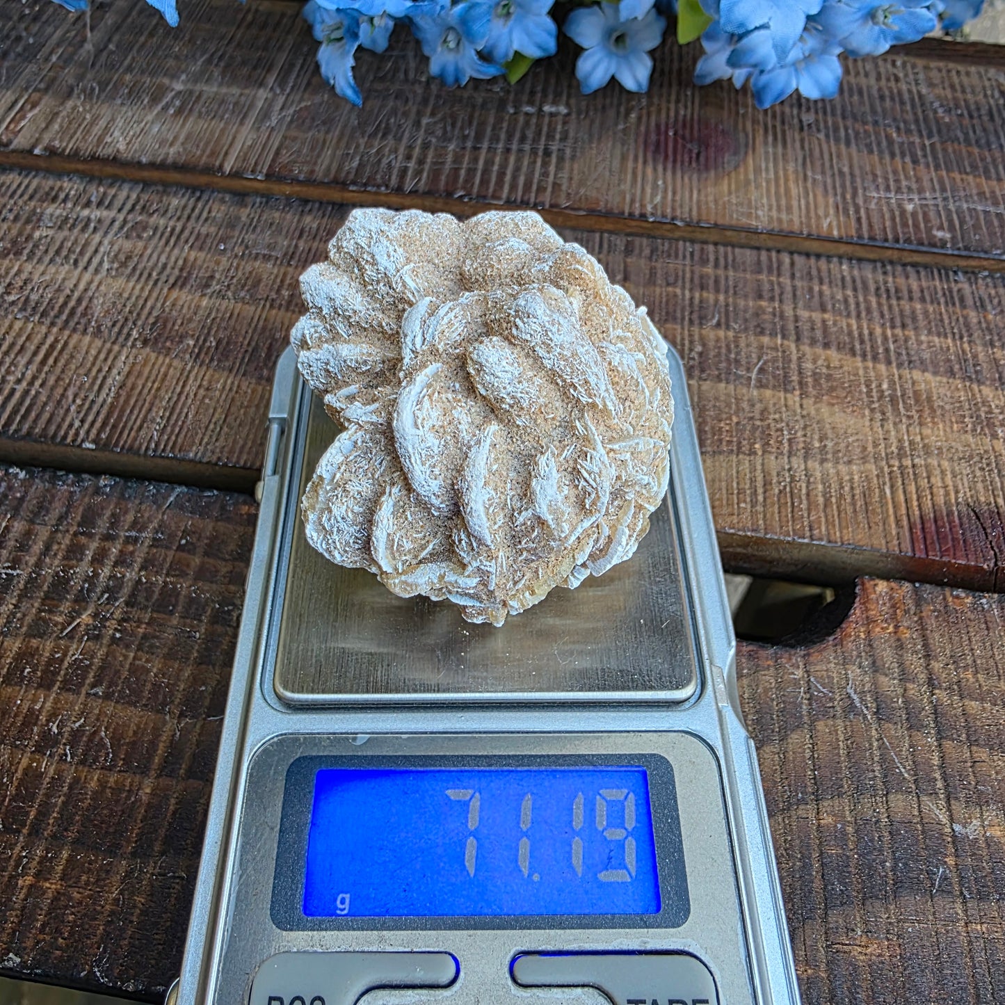 Desert Rose Gypsum Cluster Rock Specimen | Raw Natural Crystal Mineral