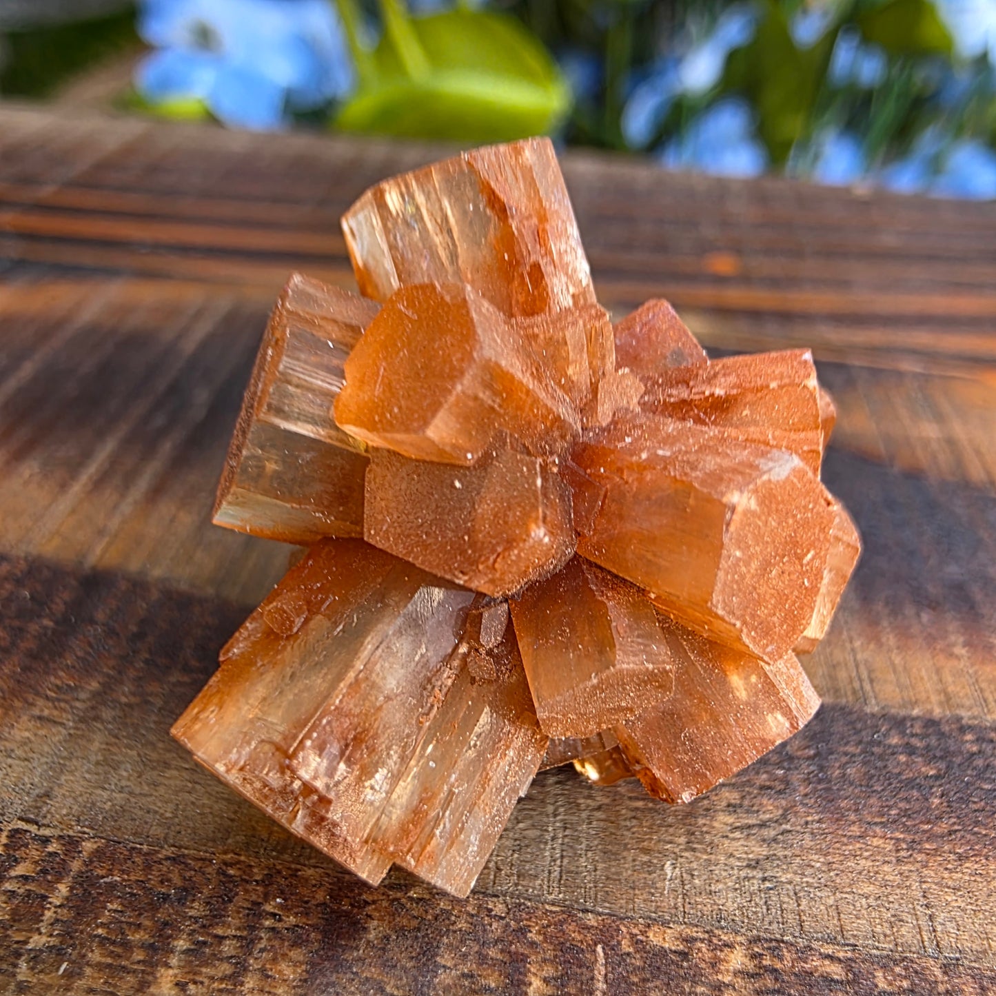 Aragonite Cluster Rock Specimen | Raw Natural Crystal Mineral | 11.72 g