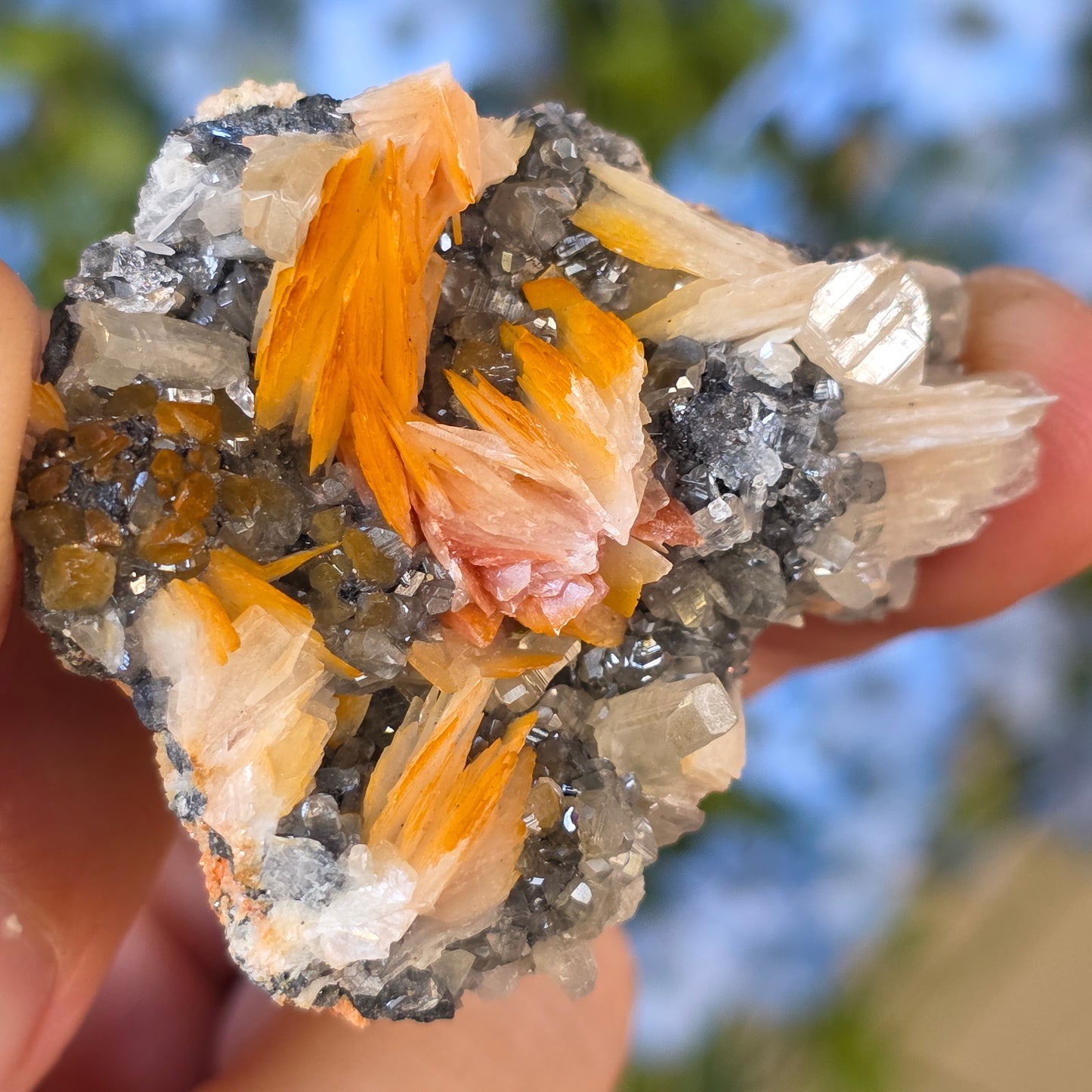 Captivating Cerussite Rock Specimen | with Pink Barite & Galena | UV Reactive Glowing Mineral | Natural Raw Stone | 49 g