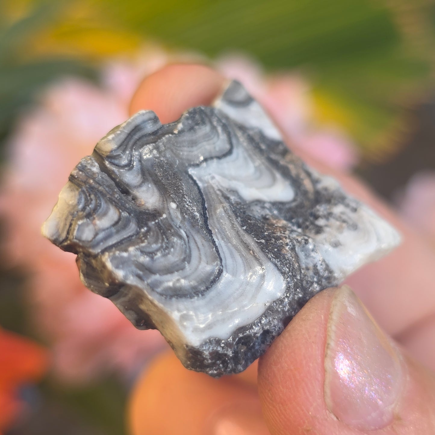 Zebra Calcite Rock Specimen | Natural Crystal Mineral | 27 Grams