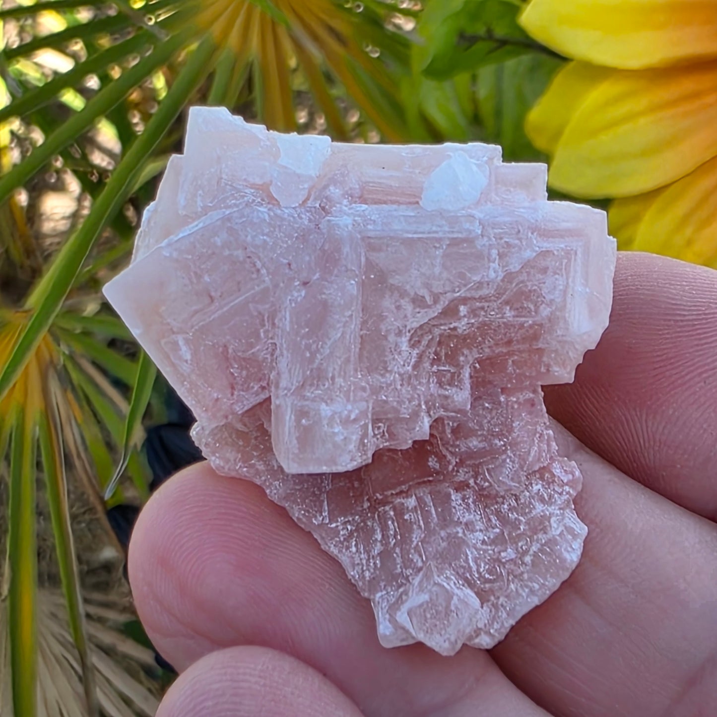 Pink Halite Rock Specimen | Natural Crystal Mineral | 12.67 g
