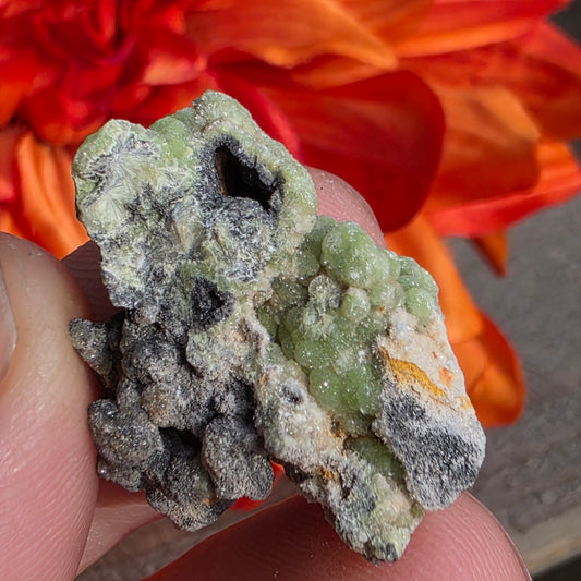 Green Wavellite Rock Specimen | Mauldin Mountain, Arkansas | Raw Stone