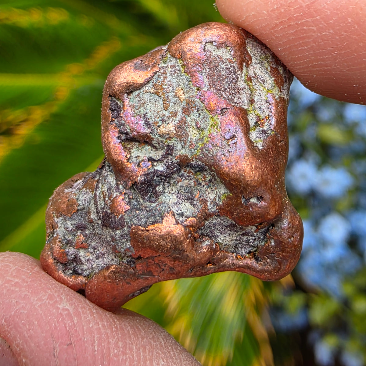Native Michigan Copper - Rock Specimen from the Keweenaw Peninsula