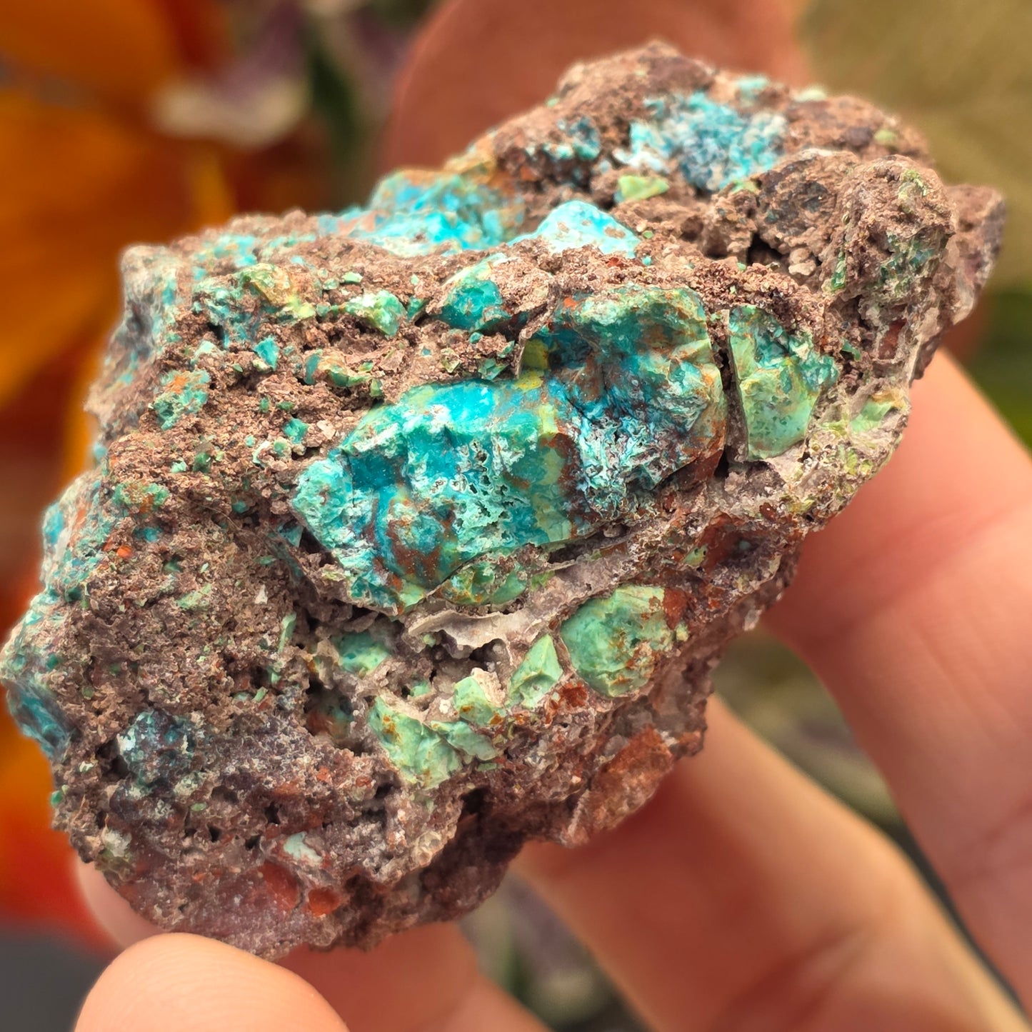 Blue and Green Chrysocolla Rock Specimen | Copper Ore | Planet Mine | Arizona | Raw Stone