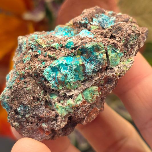Blue and Green Chrysocolla Rock Specimen | Copper Ore | Planet Mine | Arizona | Raw Stone