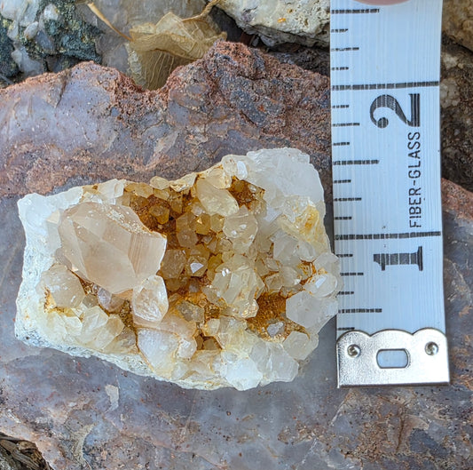 Gorgeous Natural Clear Quartz Crystal Cluster from Mt. Ida, Arkansas | Raw Mineral Specimen | 61.49 grams