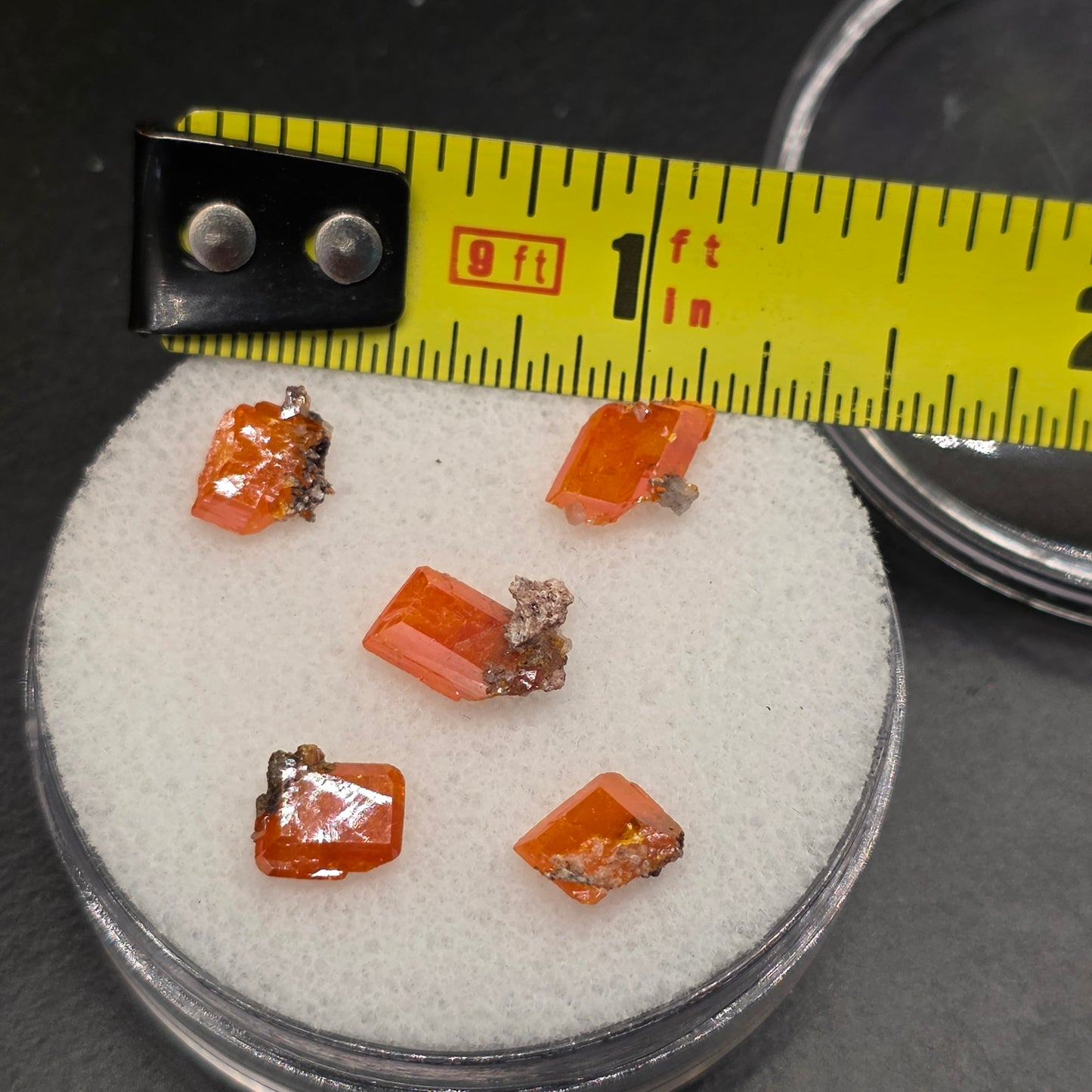 Arizona Wulfenite Gem Jar | 5 Orange Crystals | Red Cloud Mine | La Paz County | Arizona | Raw Stones