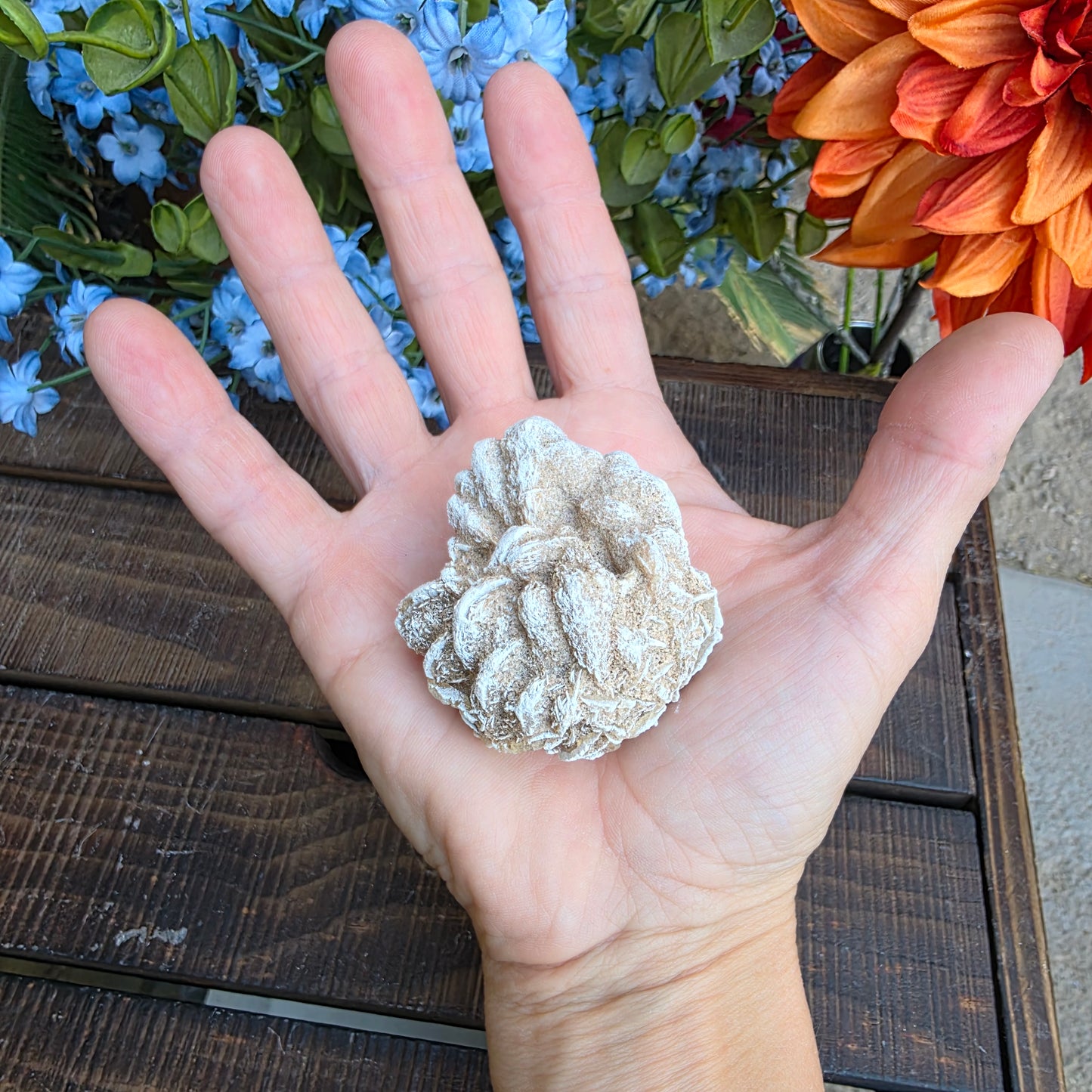 Desert Rose Gypsum Cluster Rock Specimen | Raw Natural Crystal Mineral