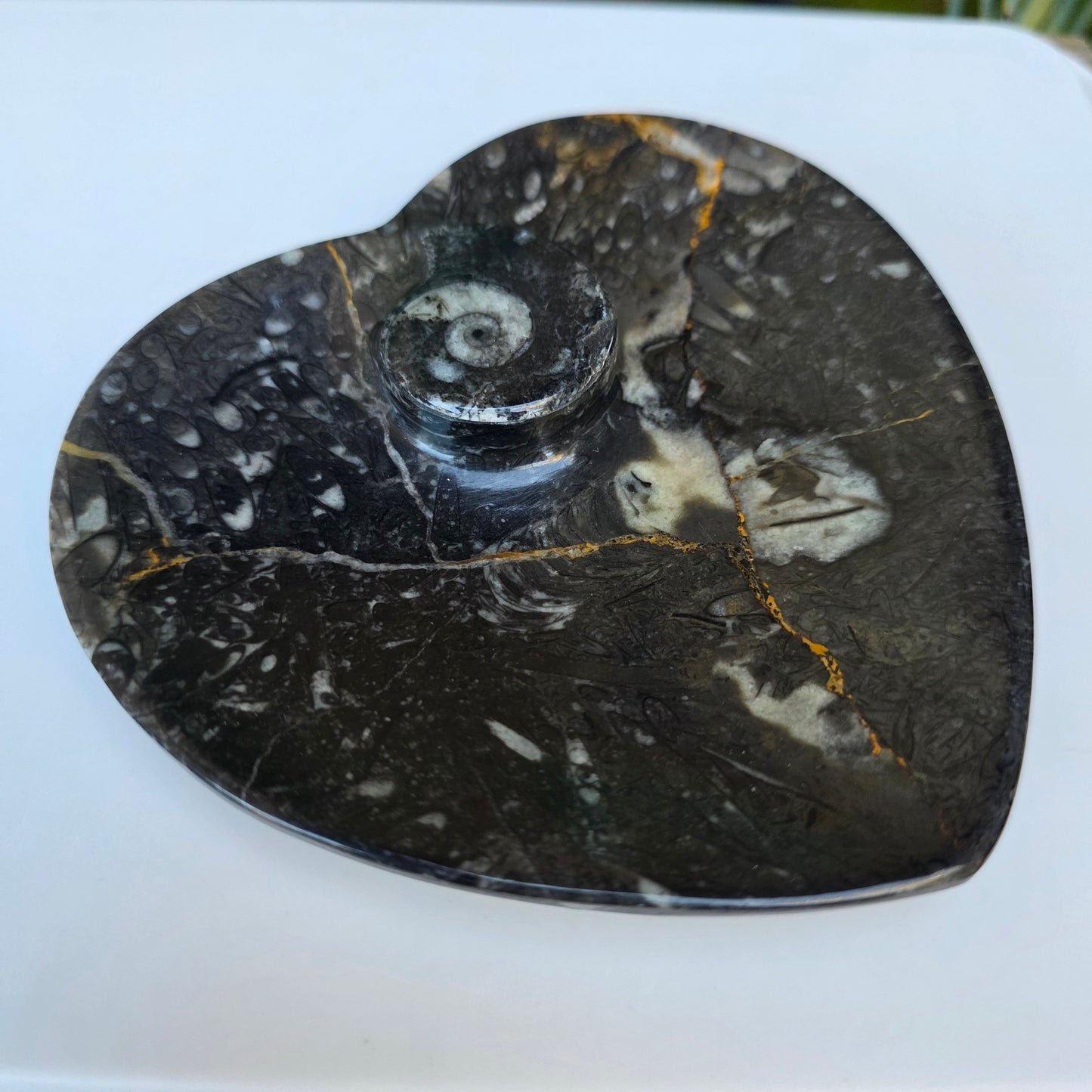 Polished Ammonite and Orthoceras Fossil Heart Shaped Dish 4 Inch Black & White Stone Bowl