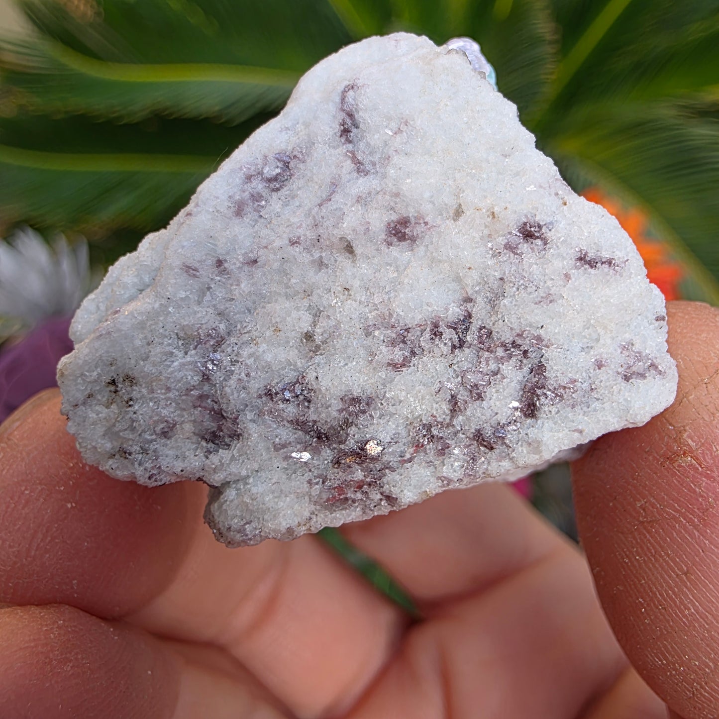 Amazonite with Smoky Quartz, White Quartz, and Mica Rock Specimen | Raw Natural Mineral | 33.44 g