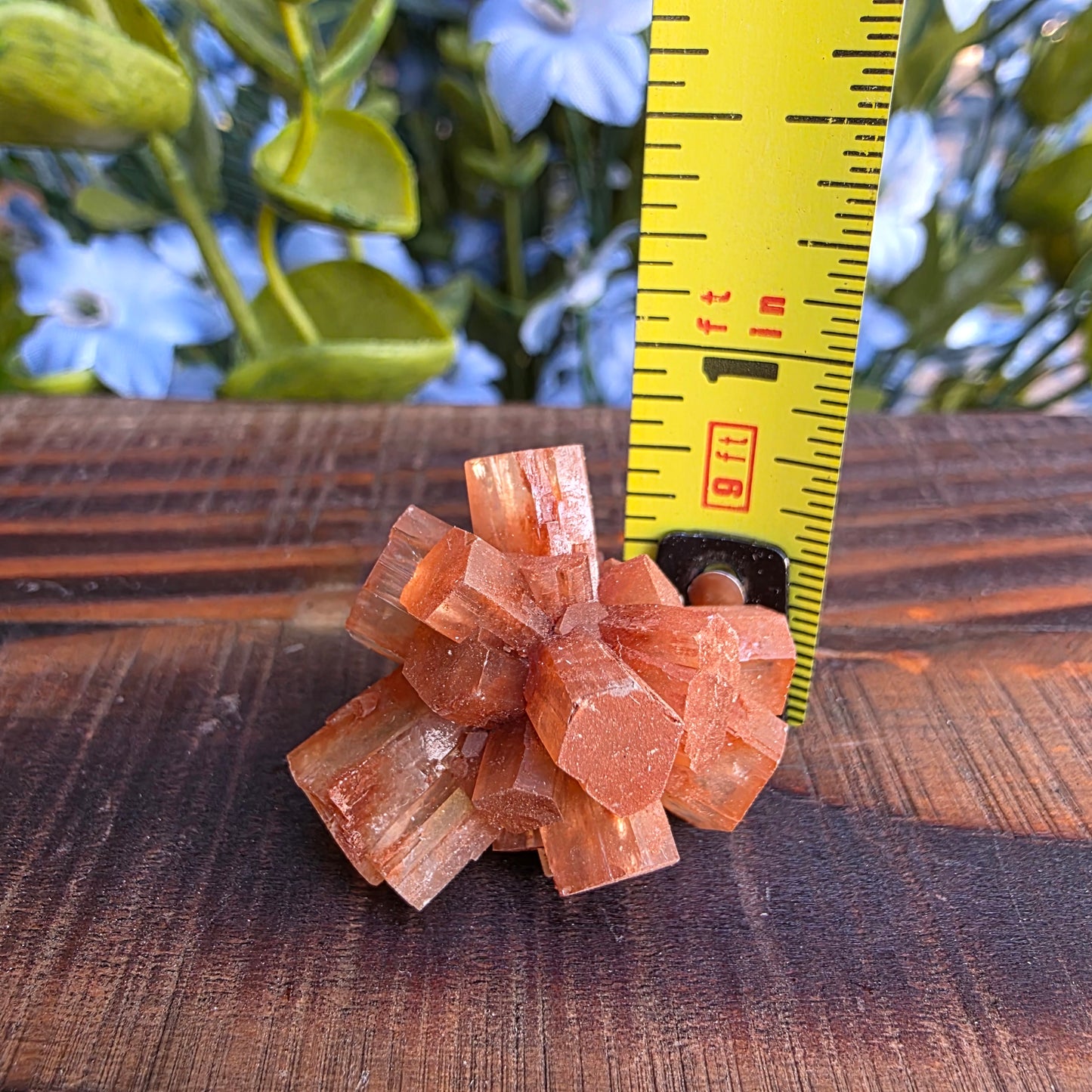Aragonite Cluster Rock Specimen | Raw Natural Crystal Mineral | 11.72 g