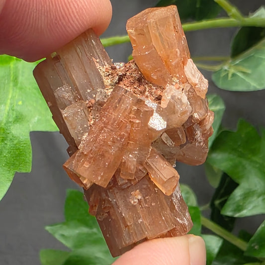 Aragonite Cluster Rock Specimen | Raw Natural Crystal Mineral | 15.83 g