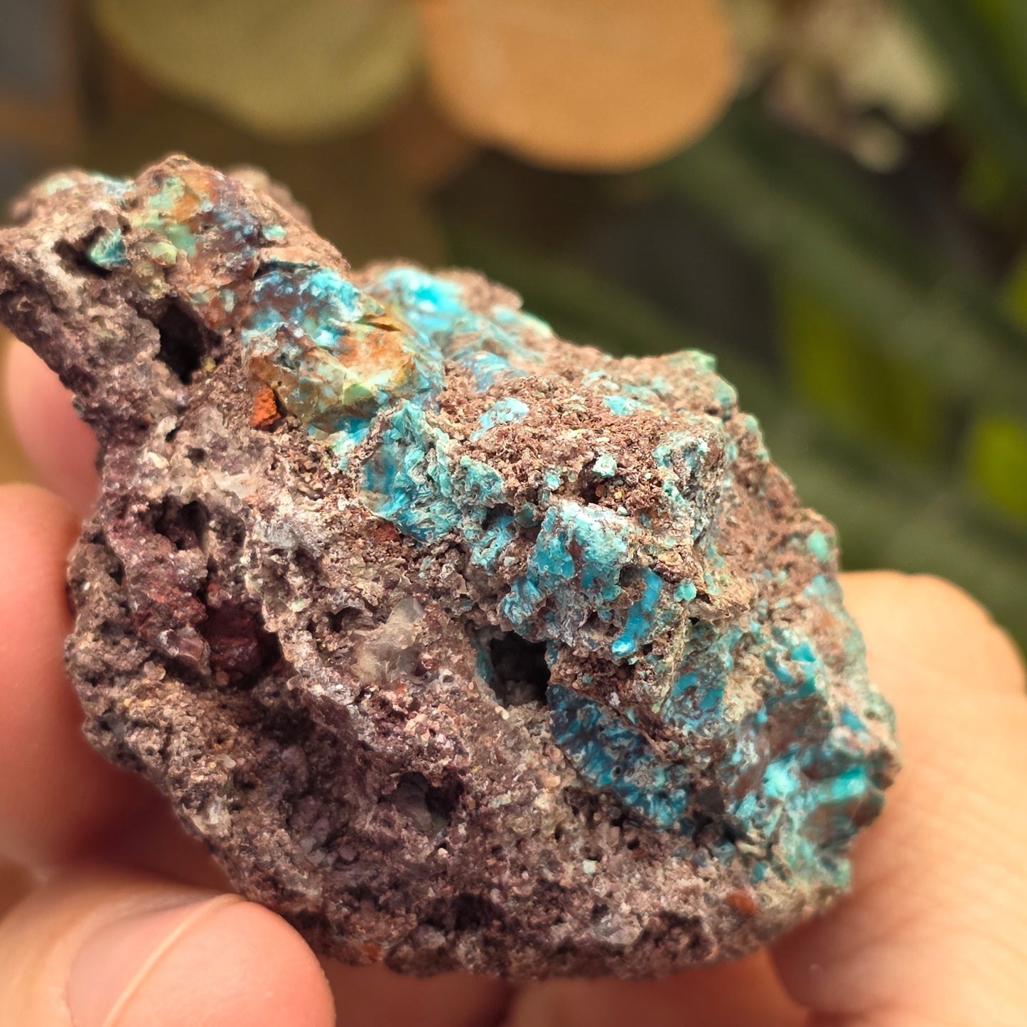 Blue and Green Chrysocolla Rock Specimen | Copper Ore | Planet Mine | Arizona | Raw Stone