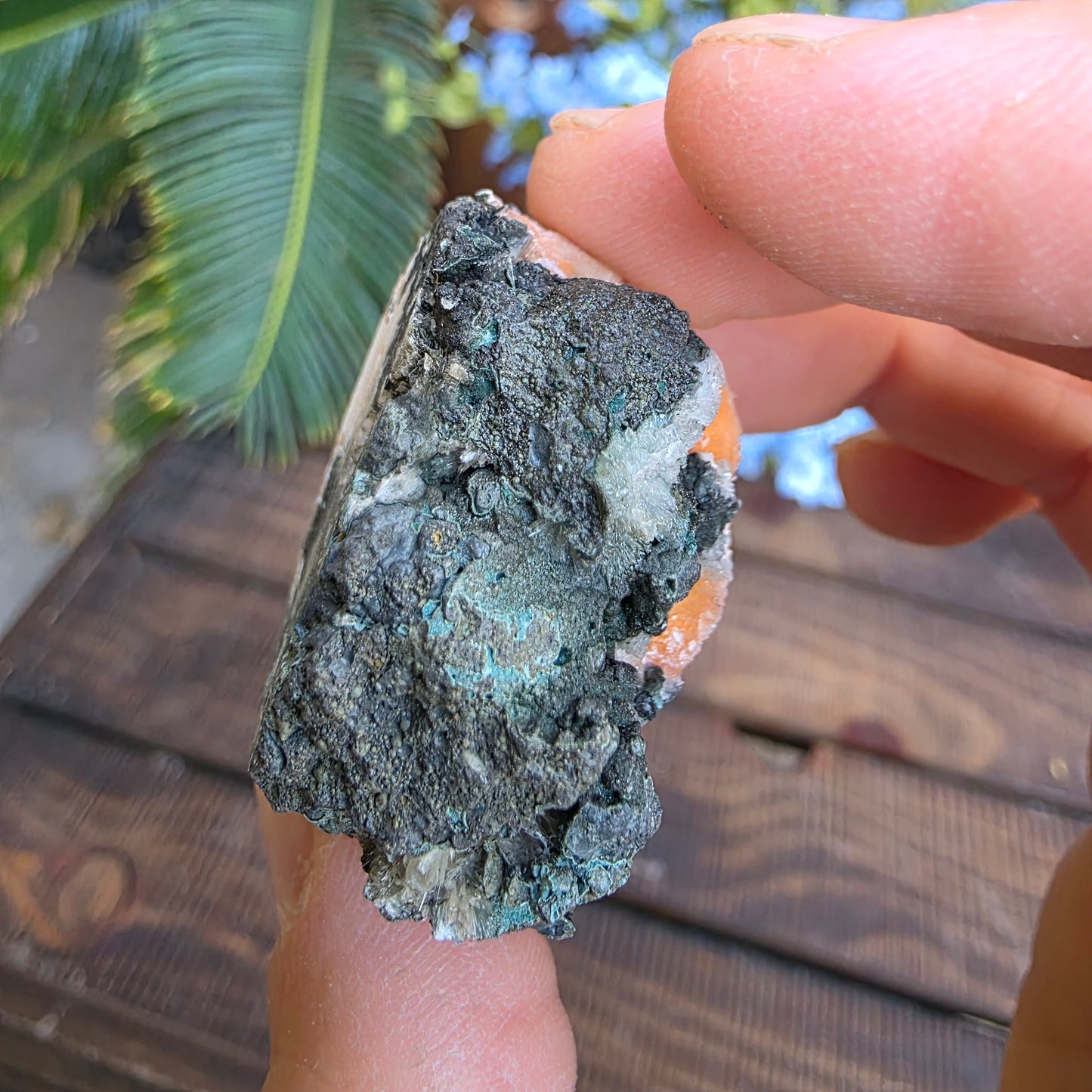 Thomsonite Mineral Specimen | Natural Orange Crystal on Basalt Matrix Rock