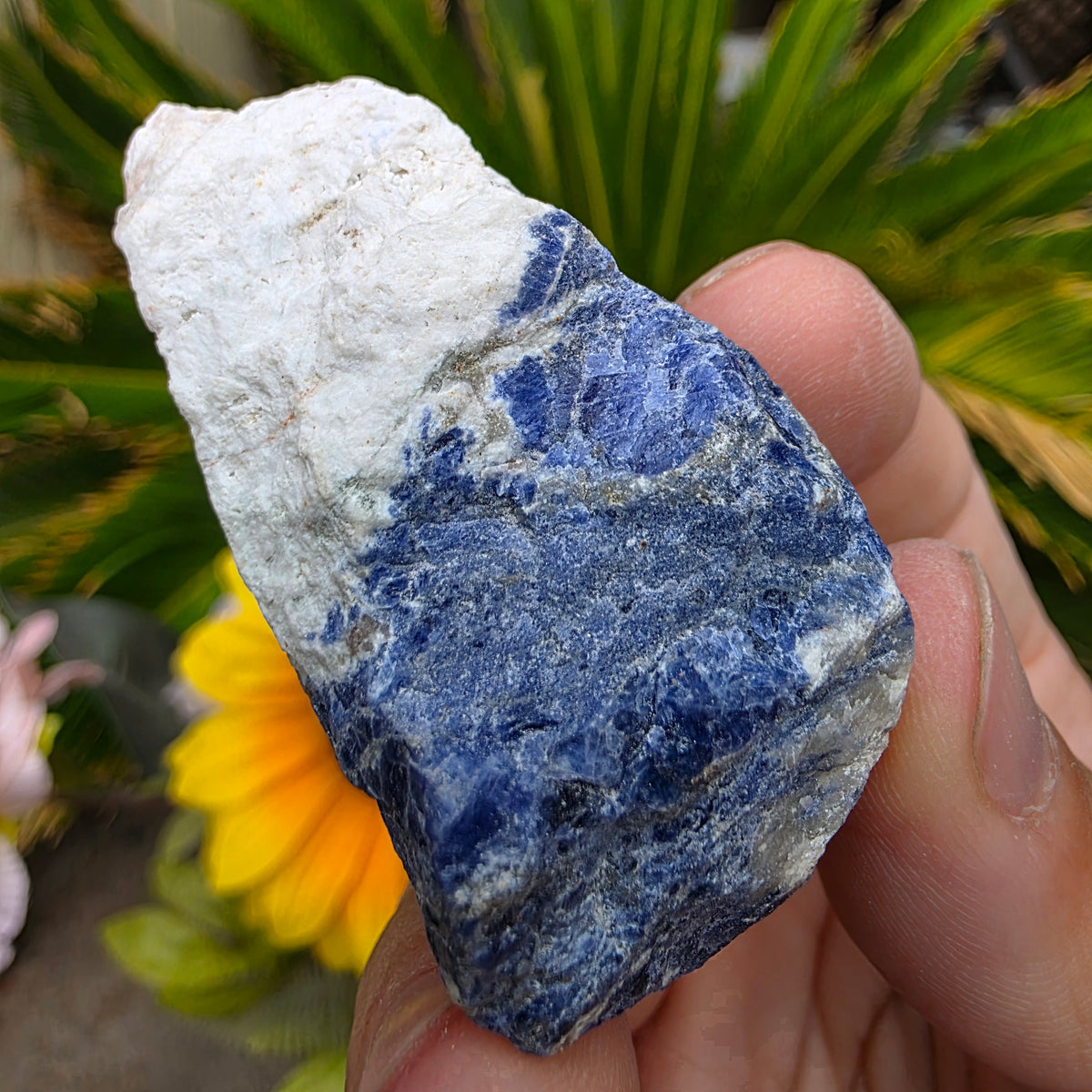 Sodalite Rock Specimen | Raw Natural Mineral | 42.85 g