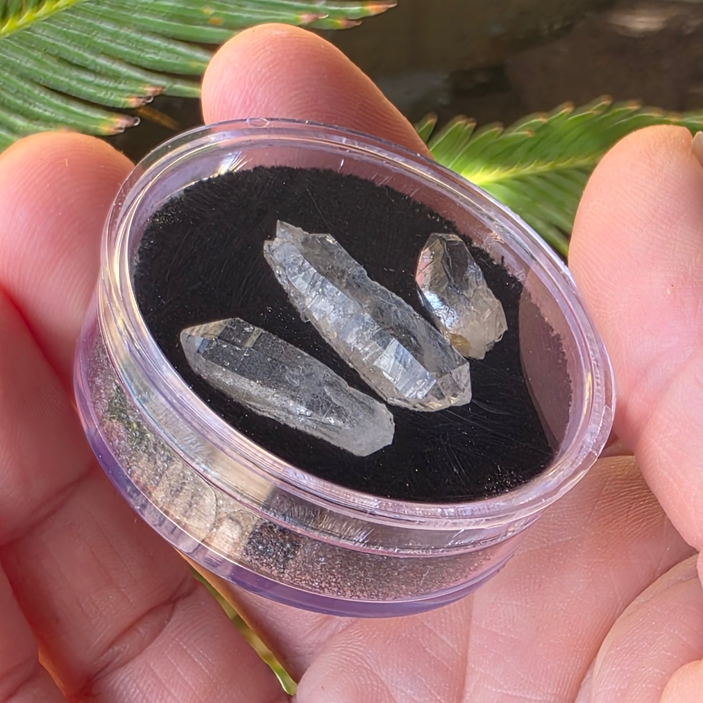 Arkansas Quartz Crystals | Three Small Pieces in a Gem Jar, from Mt. Ida