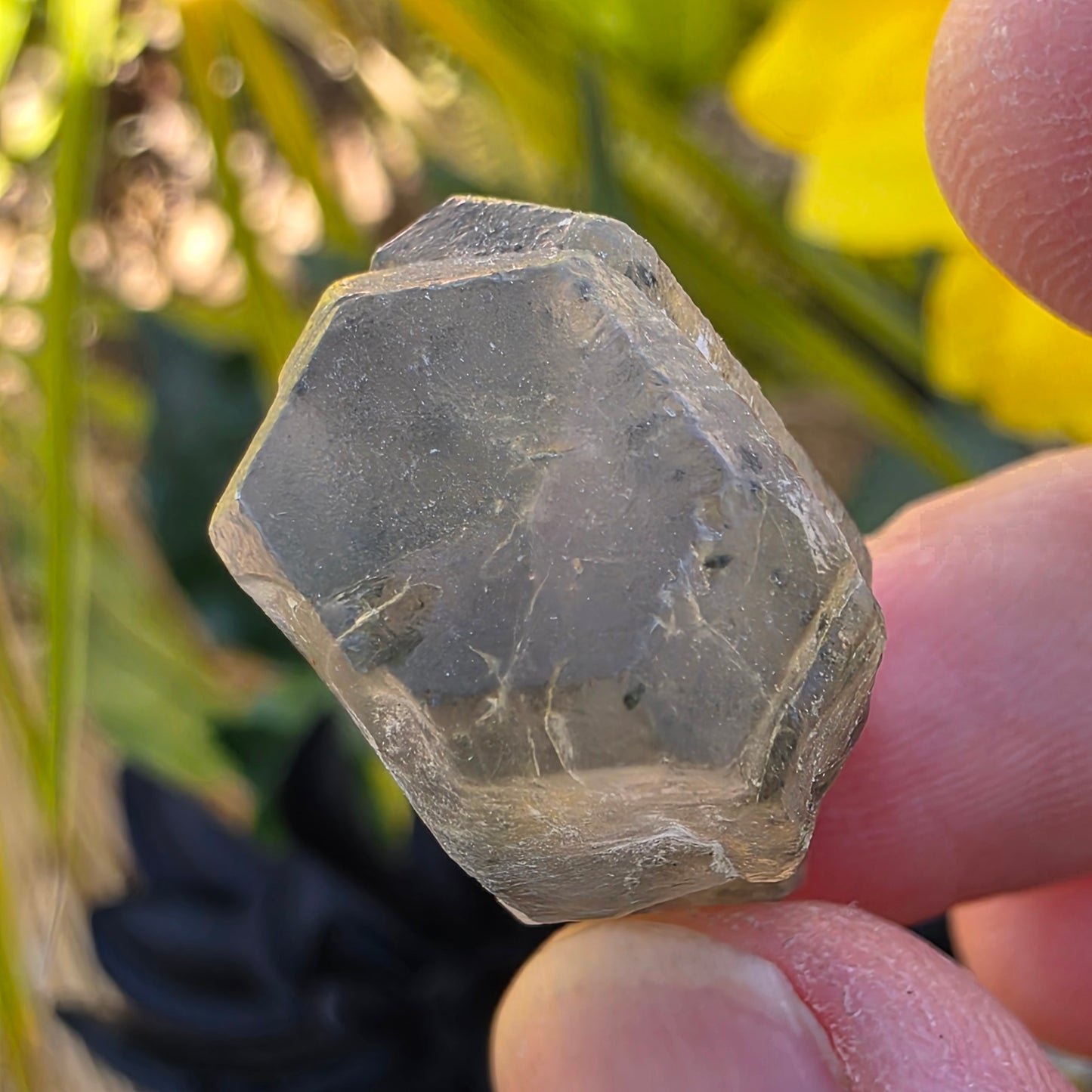 Hanksite Rock Specimen | Natural Crystal Mineral |Trona, California | 8.67 g