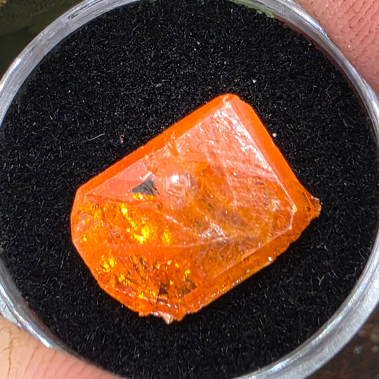 Stunning Half Inch Wulfenite Crystal | Orange Mineral | Red Cloud Mine | La Paz County | Arizona | Raw Stone