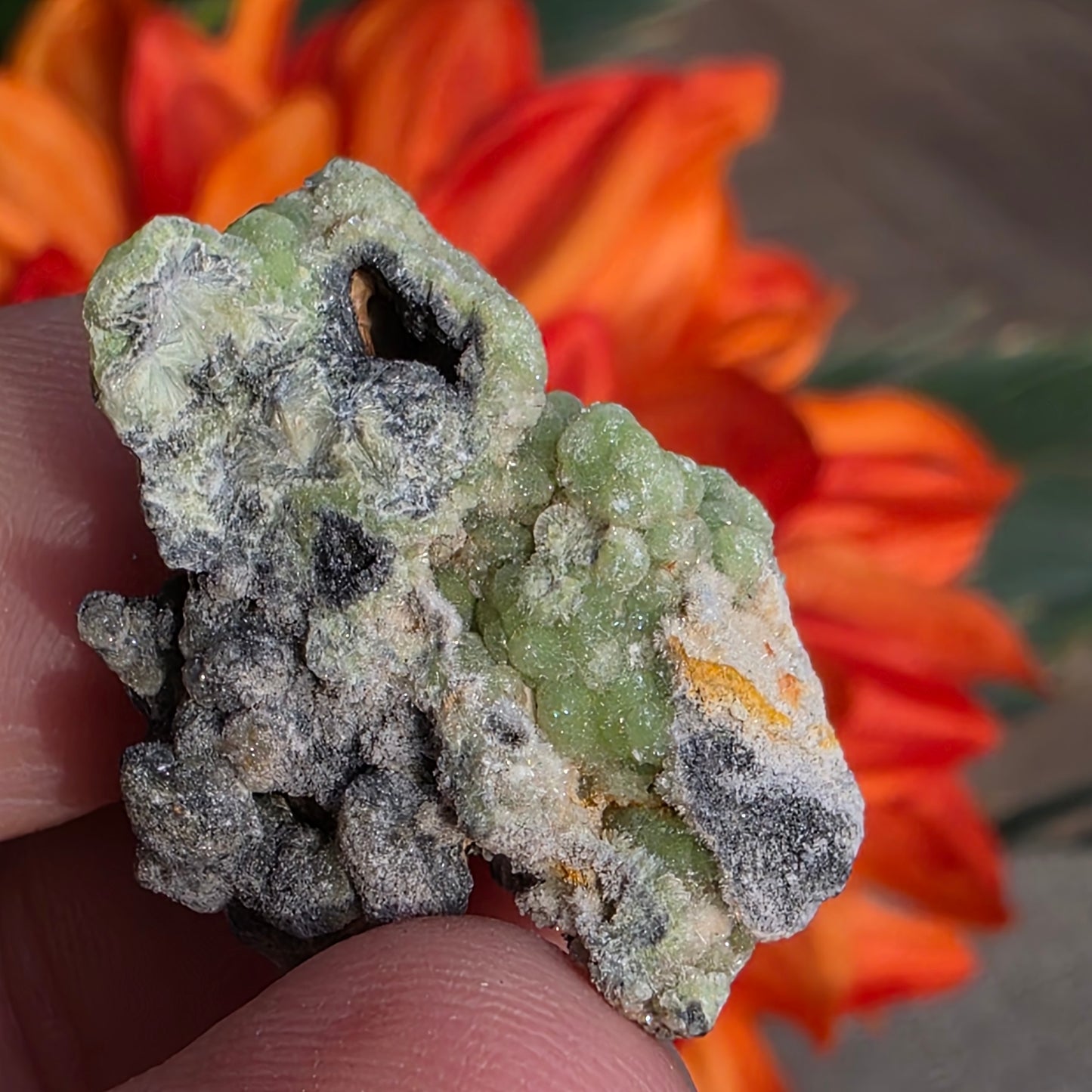 Green Wavellite Rock Specimen | Mauldin Mountain, Arkansas | Raw Stone