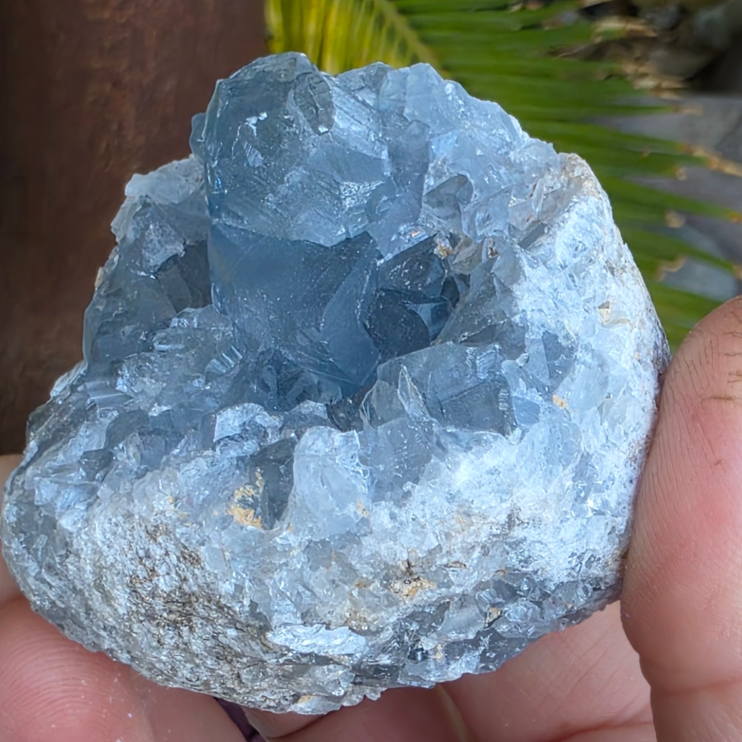 Celestite Crystal Rock Specimen |  Natural Blue Mineral | 238 g