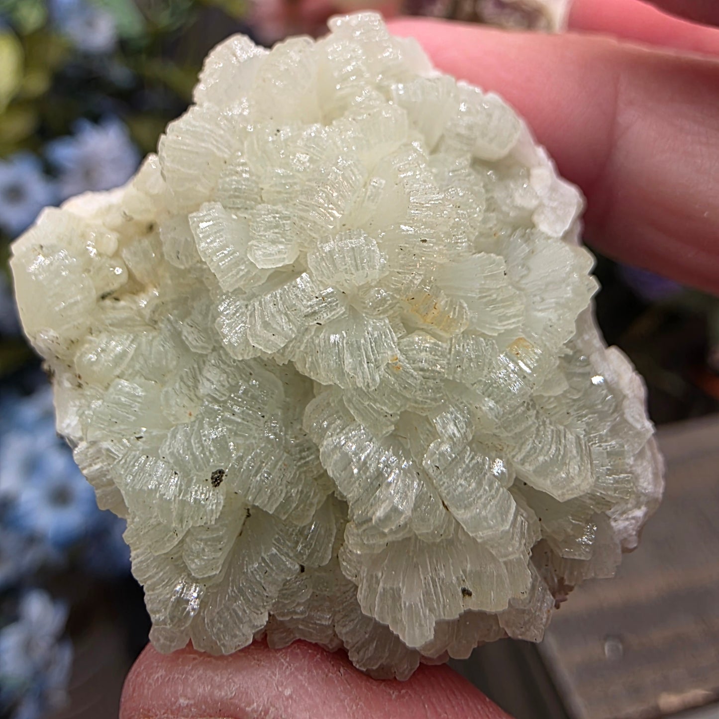 Light Green Prehnite Rock Specimen: Crystal Cluster from Morocco (37.28g)