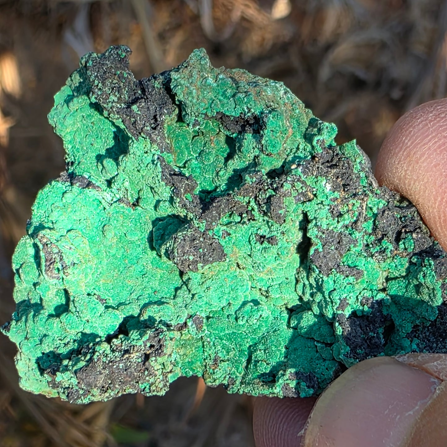 Copper Carbonate Mineral Specimen, Green Copper Ore Rock, Planet Mine, Arizona