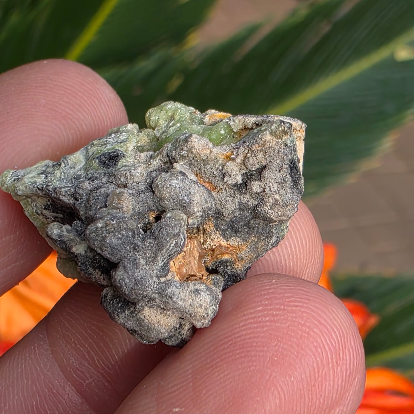 Green Wavellite Rock Specimen | Mauldin Mountain, Arkansas | Raw Stone