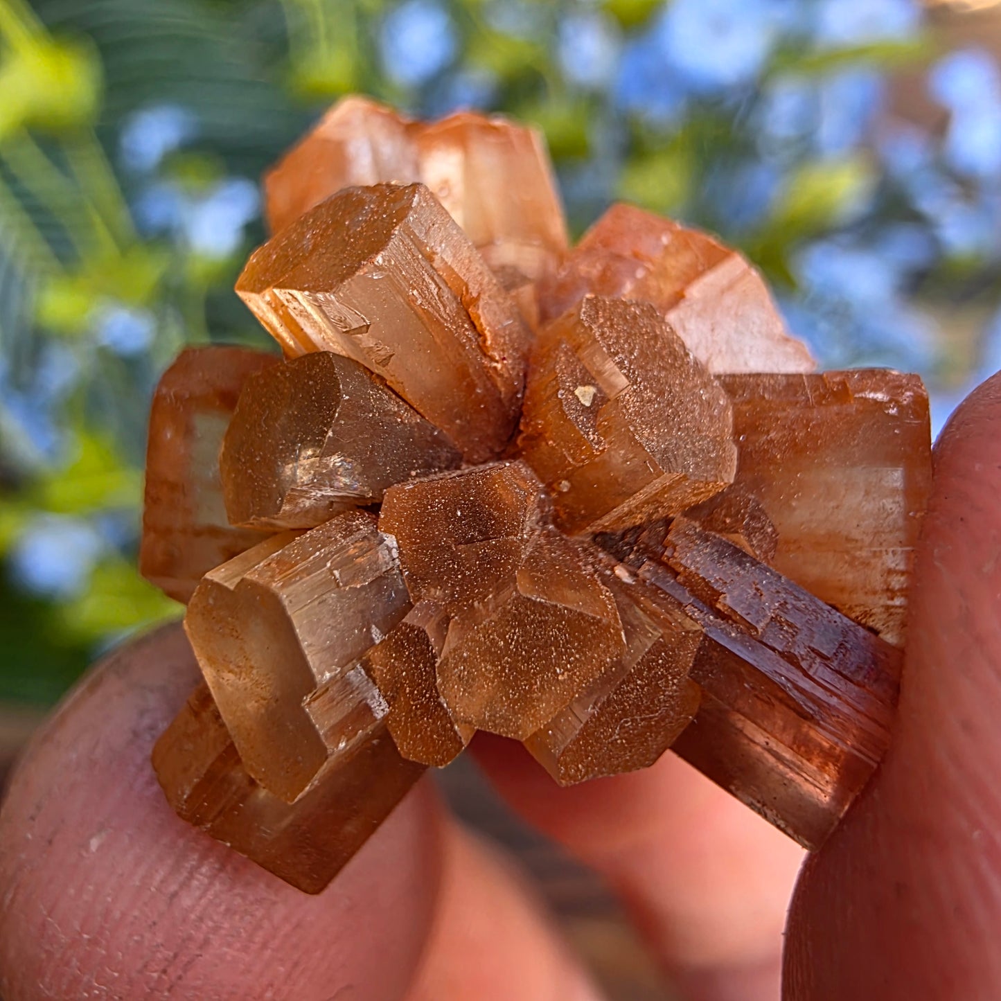 Aragonite Cluster Rock Specimen | Raw Natural Crystal Mineral | 11.72 g