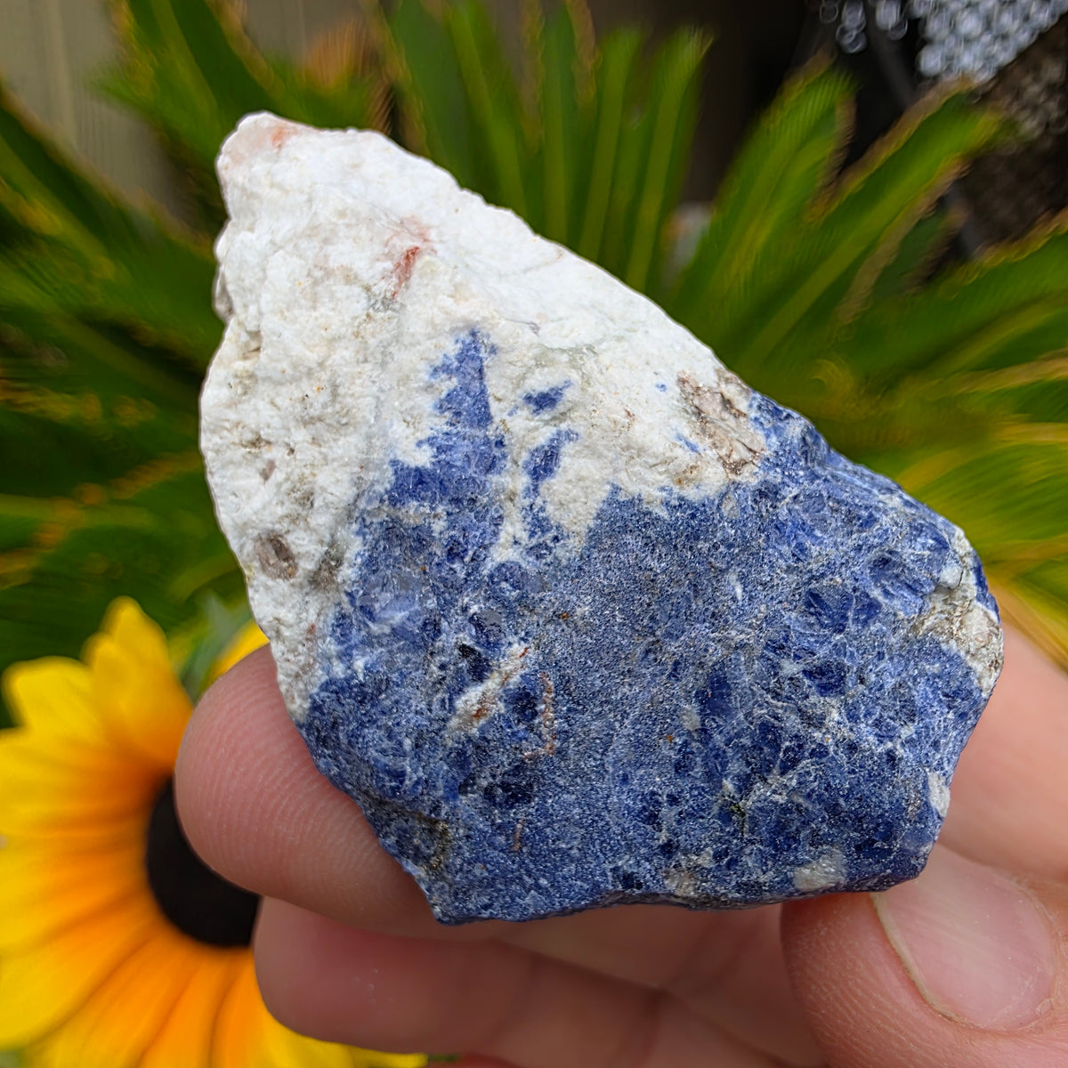 Sodalite Rock Specimen | Raw Natural Mineral | 42.85 g
