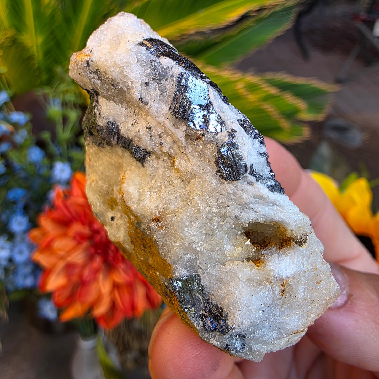 Galena on Quartz Matrix Rock Mineral Specimen from Morocco Raw Shiny Stone
